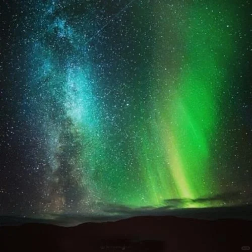 (Booked) Japanese Restaurant Reservation Info 20240210