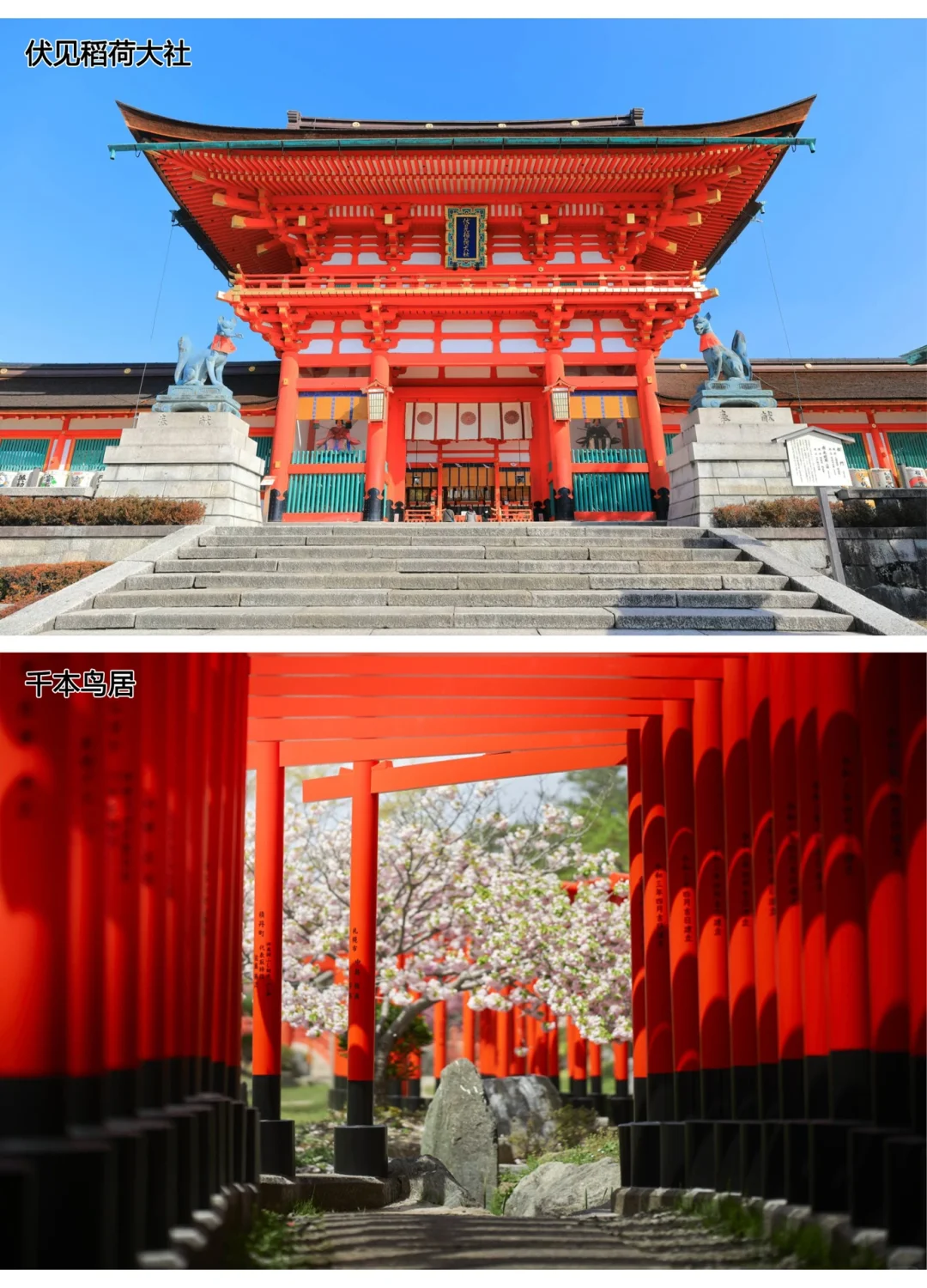 A One-Stop Guide to Kyoto: Transportation, Attractions, and More in One Picture