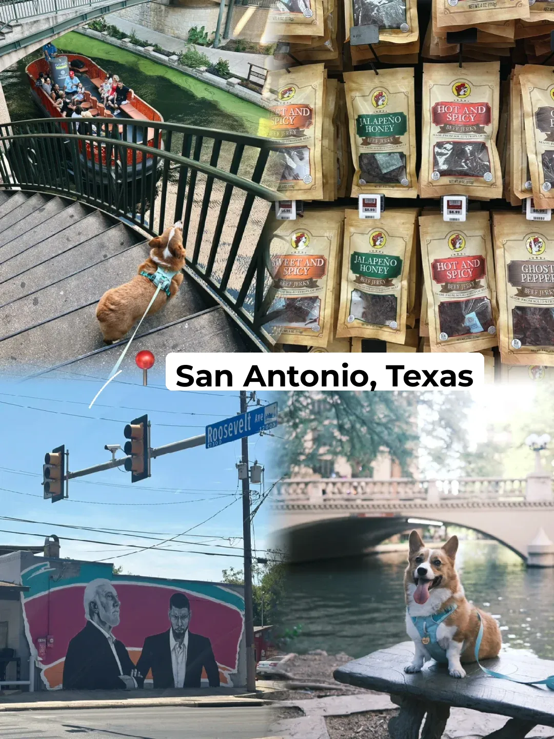 San Antonio, Texas 🤠🐾 | Traveling with My Dog – Day 3