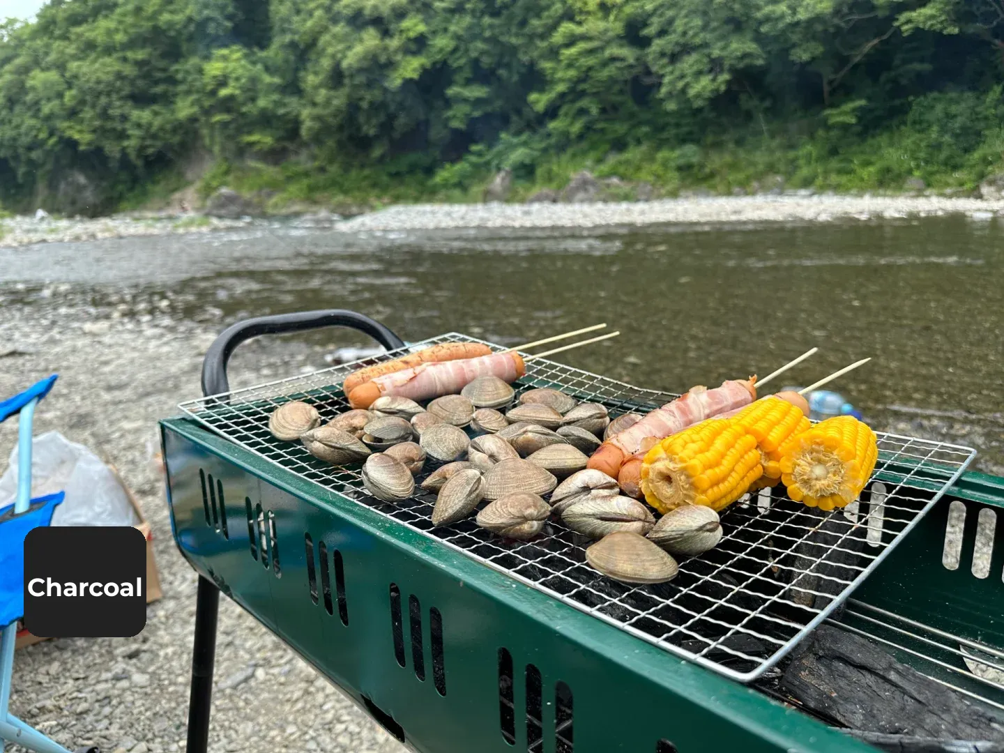 🇯🇵 Tokyo Day Trip | Secluded Free Camping & BBQ by the Stream ⛺️
