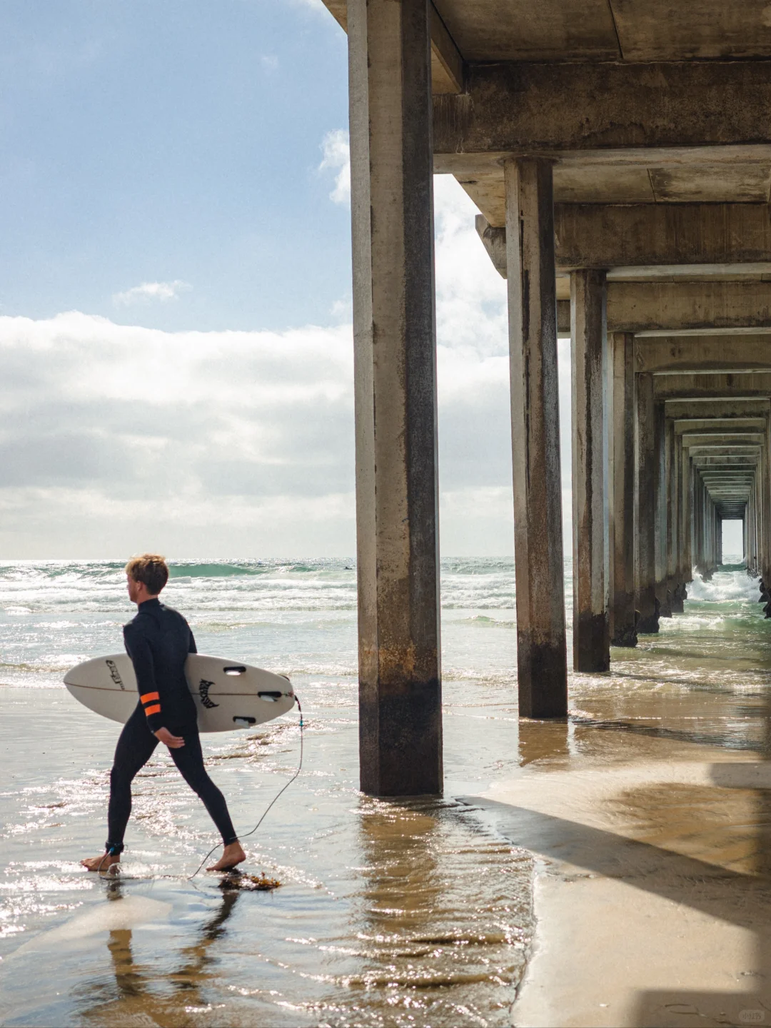 The Most Worthwhile La Jolla Beach in San Diego! 1-Day Travel Guide