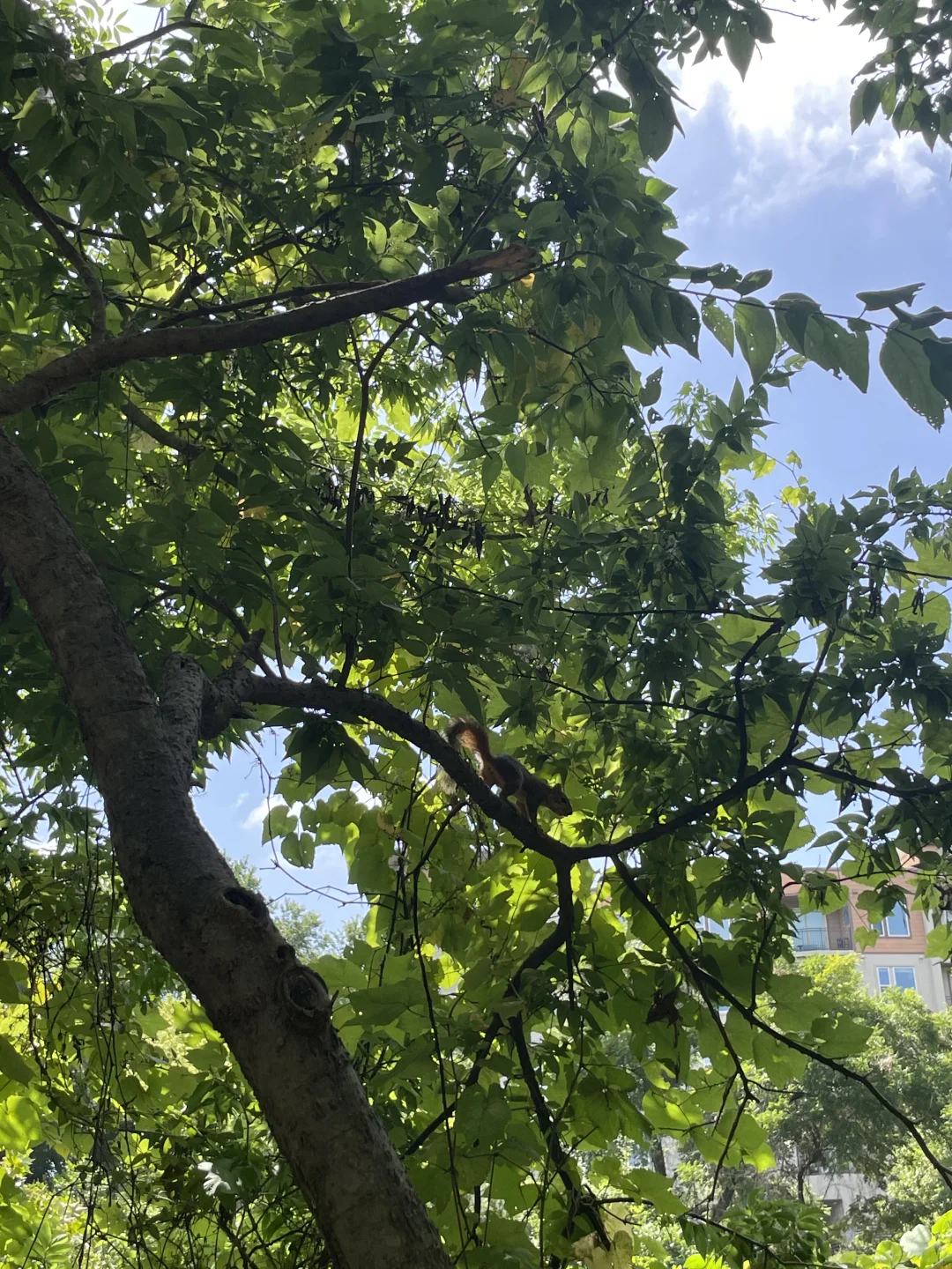 Austin 3-Day Trip: Day 2