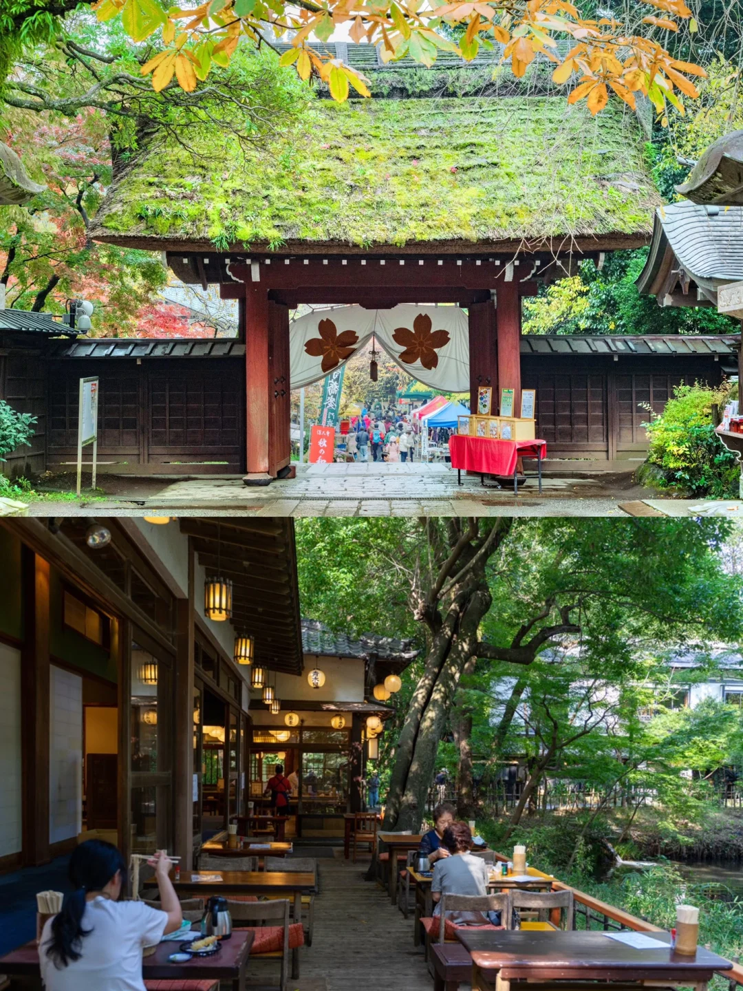 🌿 Rush to Jindaiji Temple ｜ Skip Sensoji Temple and Avoid the Crowds! ❗️