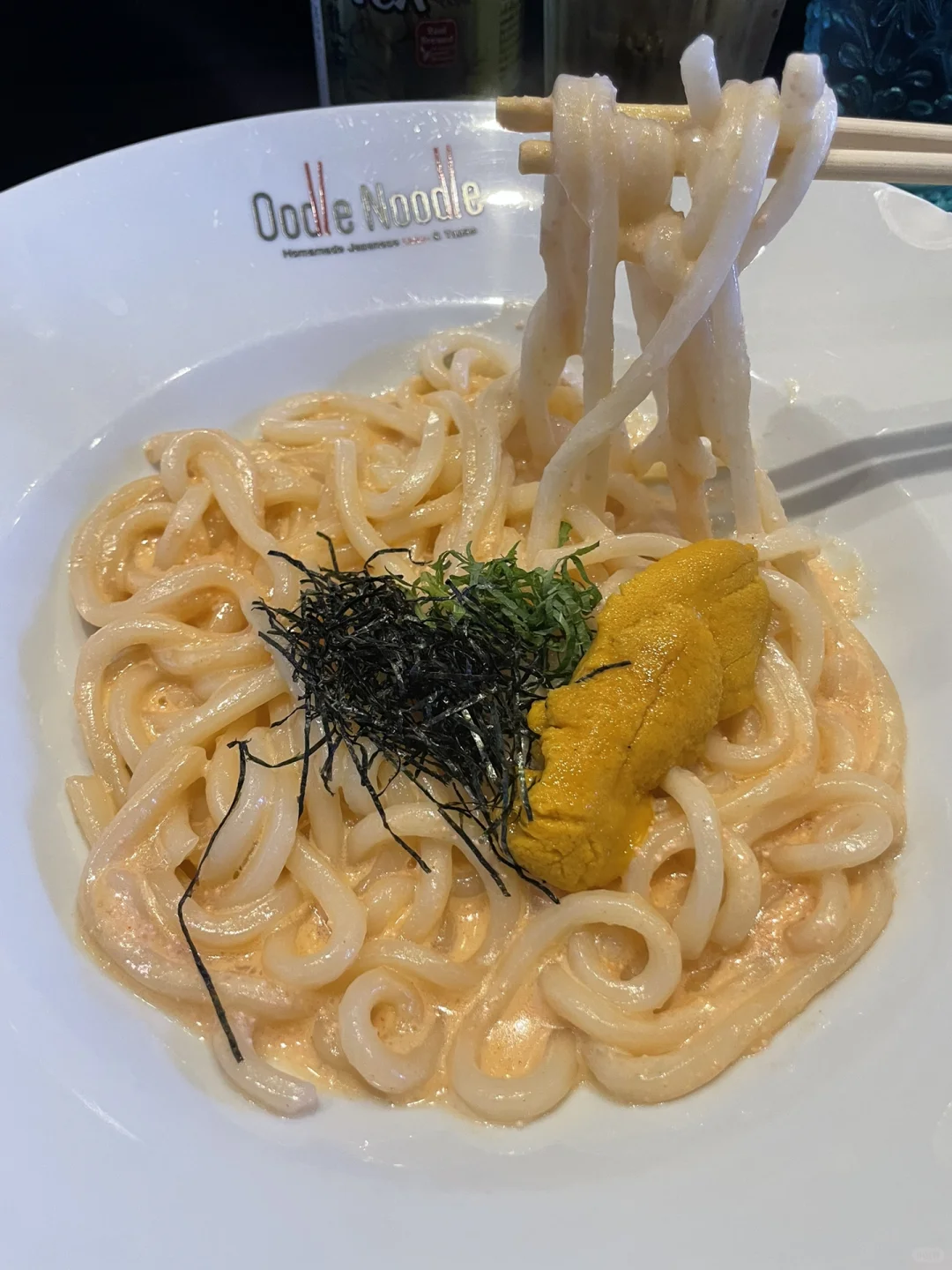 Amazing Udon Noodles in Las Vegas—Oodle Noodle
