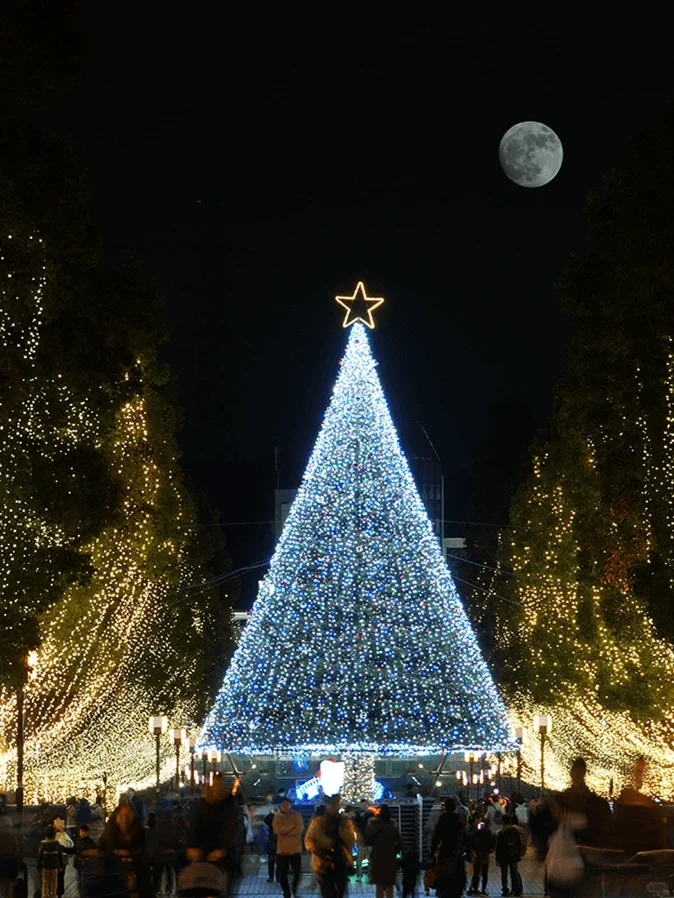 🎄2023 Christmas in Tokyo: 8 Must-Visit Romantic Landmarks!