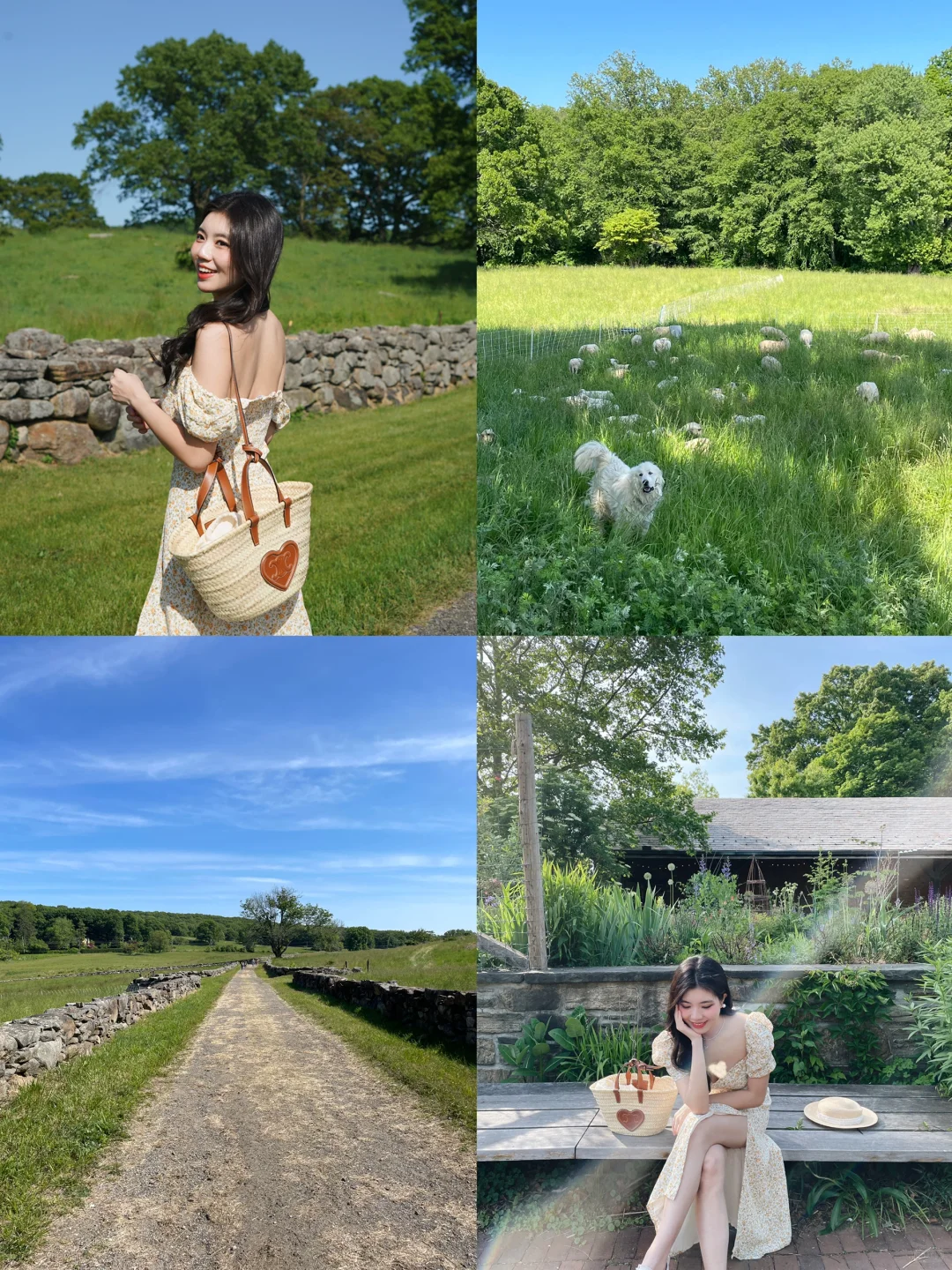 Summer Getaway: Little New Zealand in New York 🏔 Where the Wind Blows and Cows Graze in the Grasslands