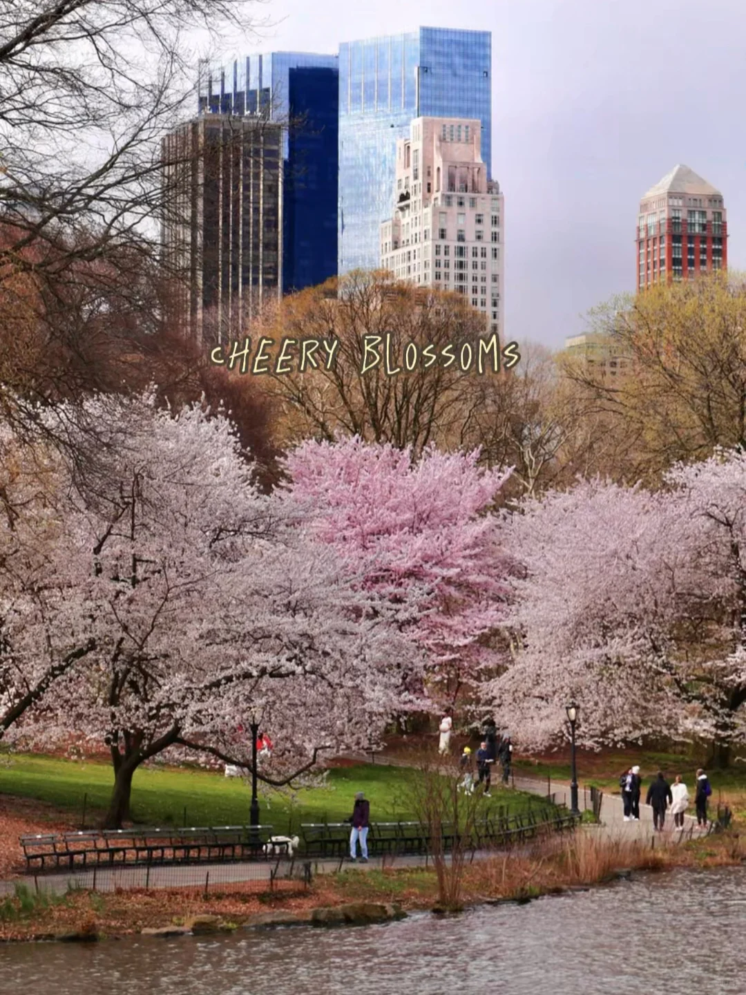 Central Park in New York, Two Weeks from Now 🌸