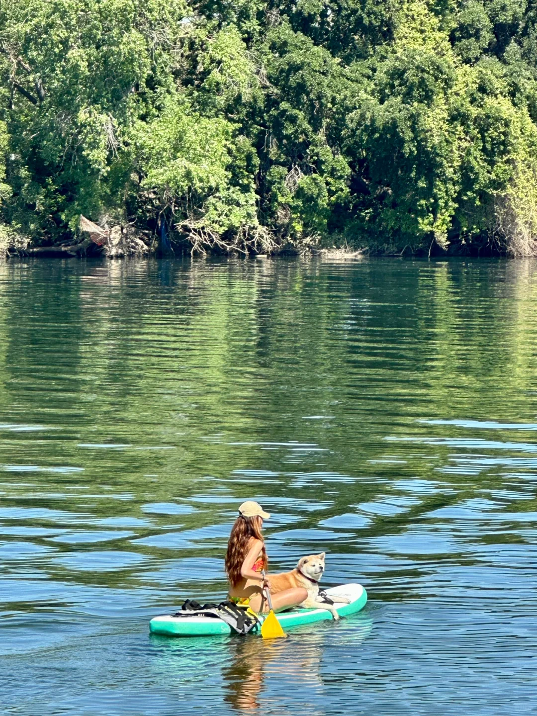 It's that time of year again for water fun in Sacramento! ☀️🏊‍♀️🐶