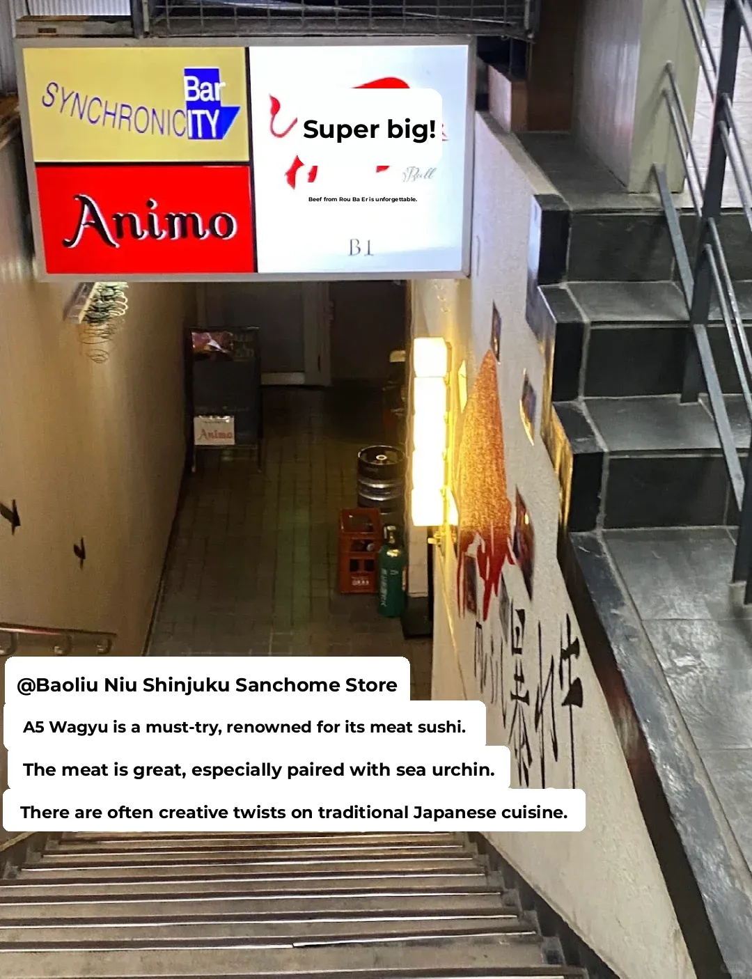 Tokyo Nine Years, Shinjuku Eats! Hidden Gems List!