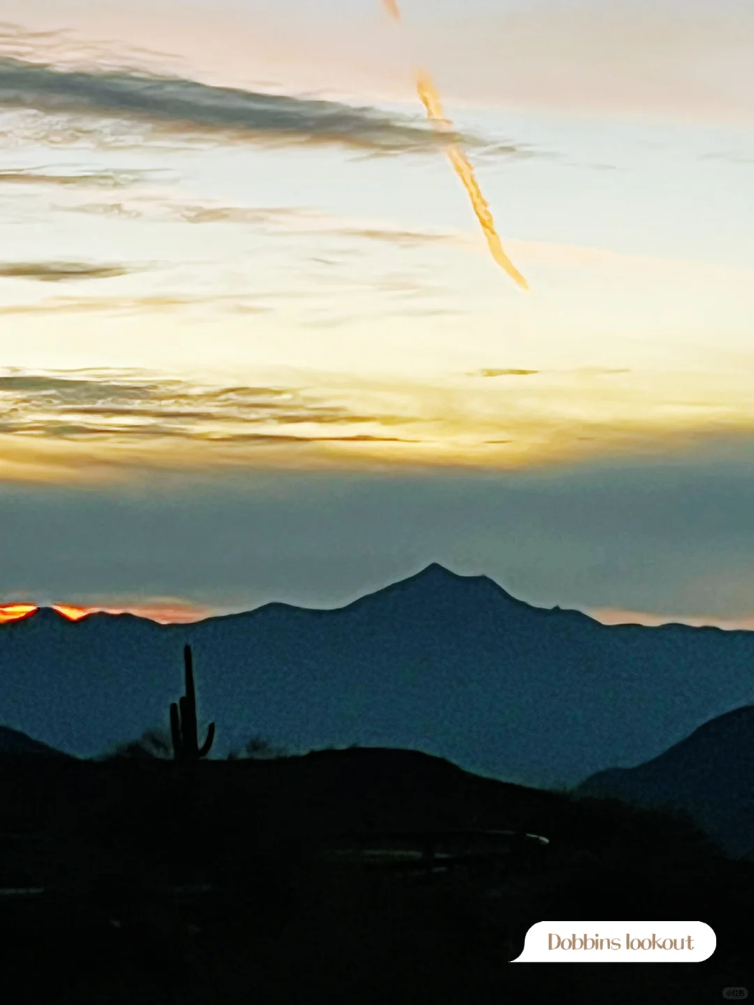 Southwest USA Road Trip Part 4 | Phoenix, Arizona