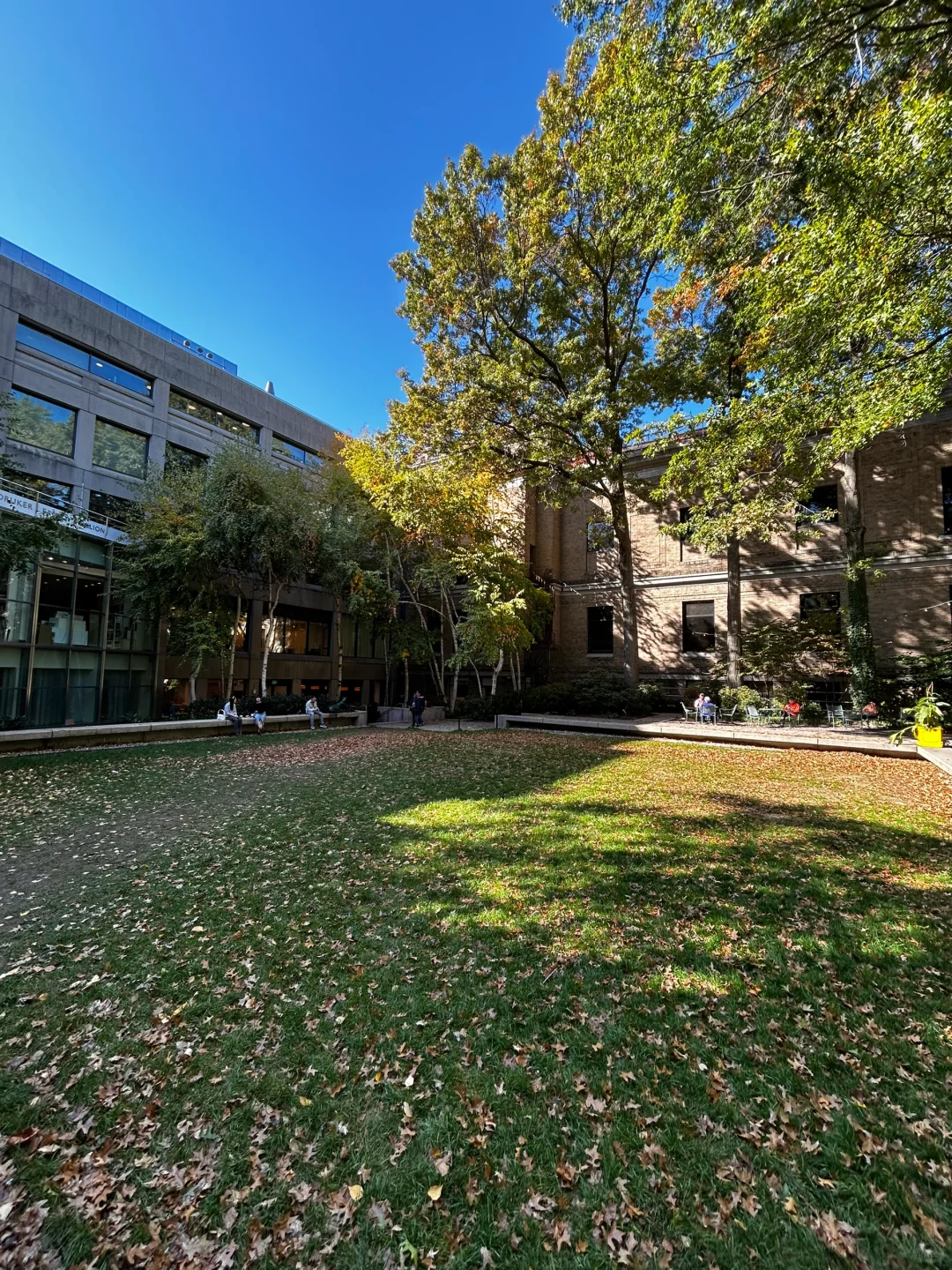 Great Spots to Rest and Eat While Visiting Boston's Museum of Fine Arts (MFA)