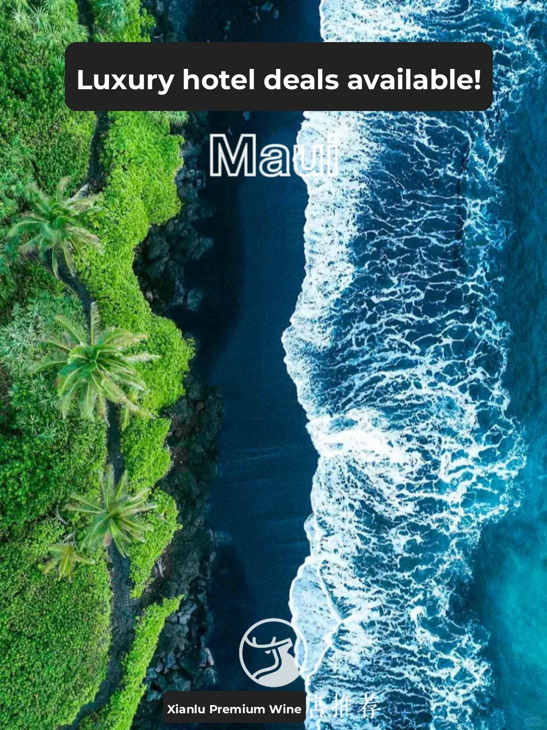 Luxury Hotels Worldwide at Low Prices ✅ Amazing Hotel in Maui, Hawaii