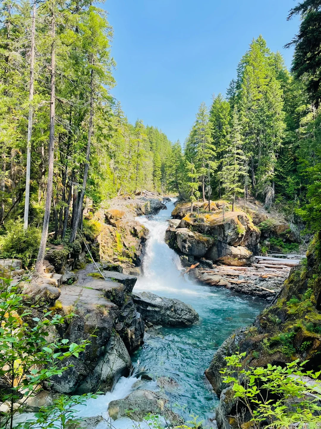 "Wrap-Up! Camping Spots to Experience Seattle's Summer"