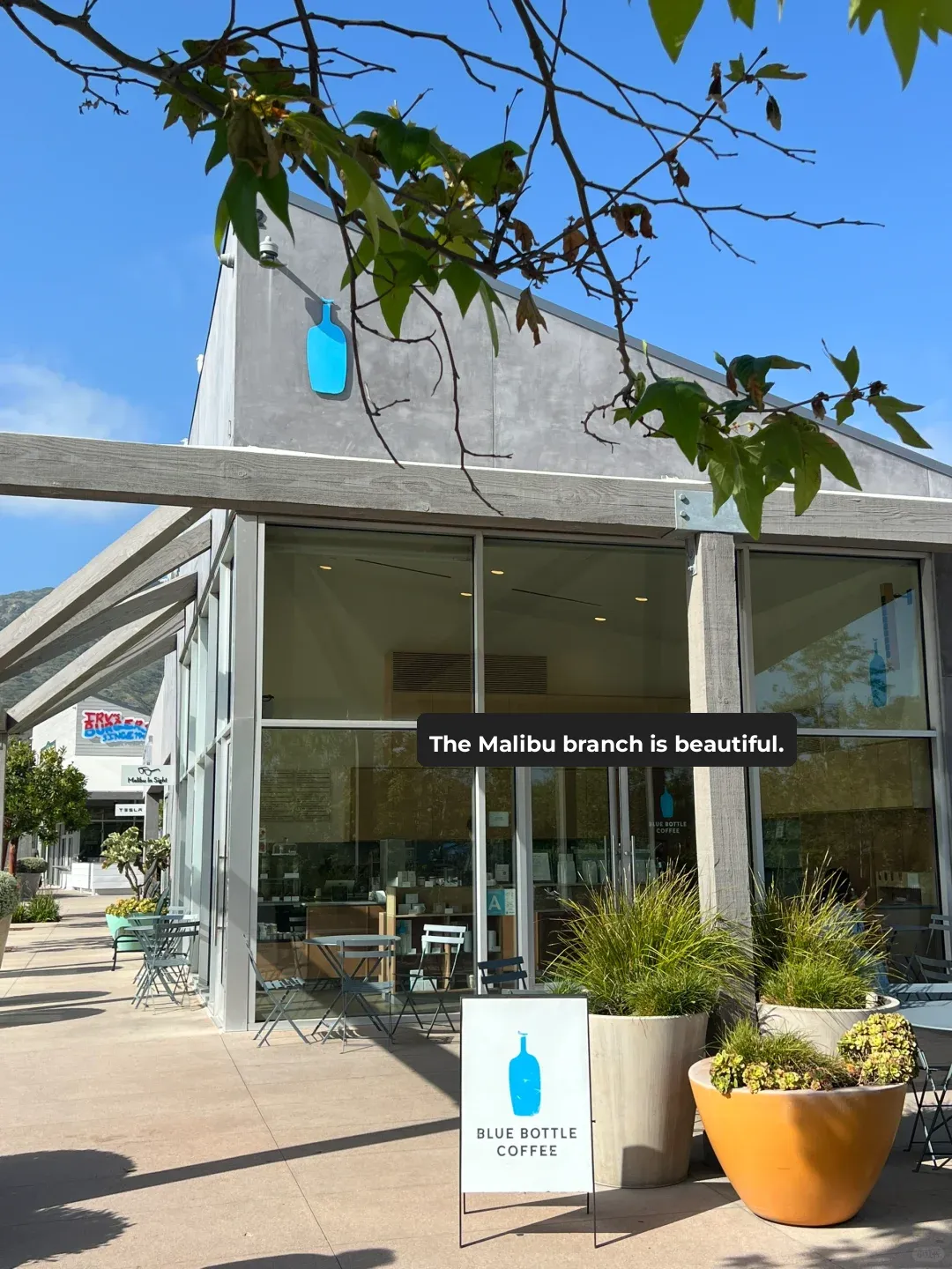 The Ultimate LA Food Trio: Proof You've Been to LA