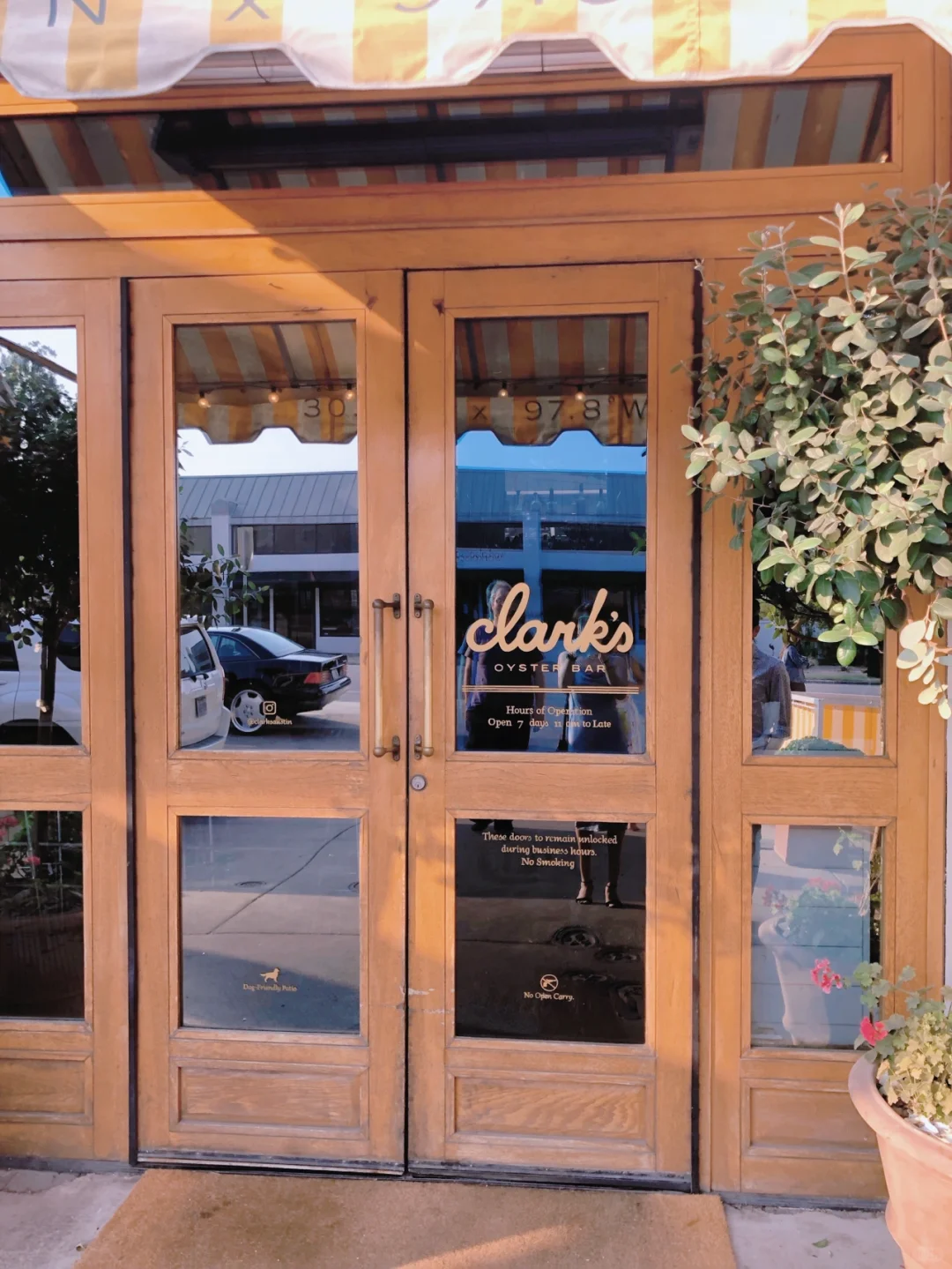 The Best Oysters in Austin