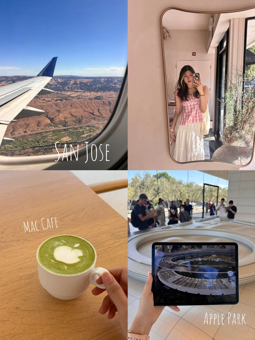 What to Eat & Do for a Weekend in the Bay Area / San Jose 🦦