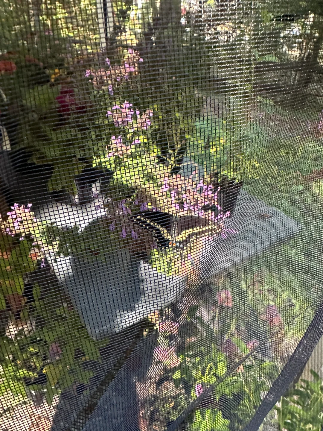 Atlanta Family Fun: Free Admission to Dunwoody Nature Center for Kids