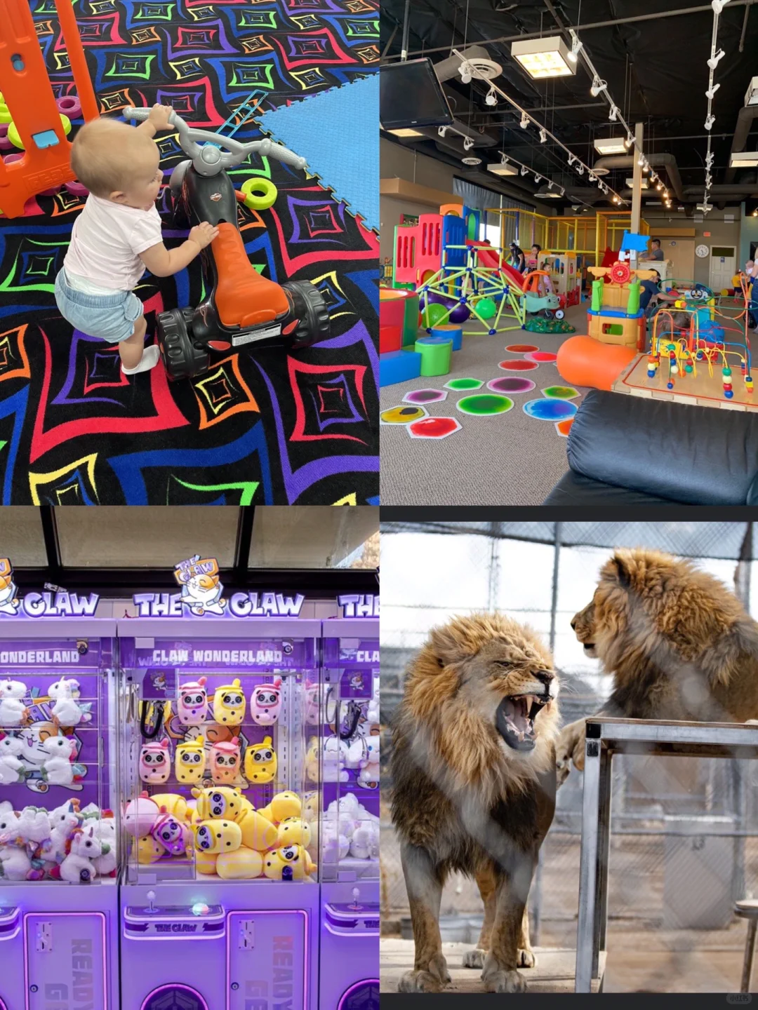 23 Must-Do Activities for Family Fun in Vegas 🍼 Weekend Energy-Burning Guide 🦄