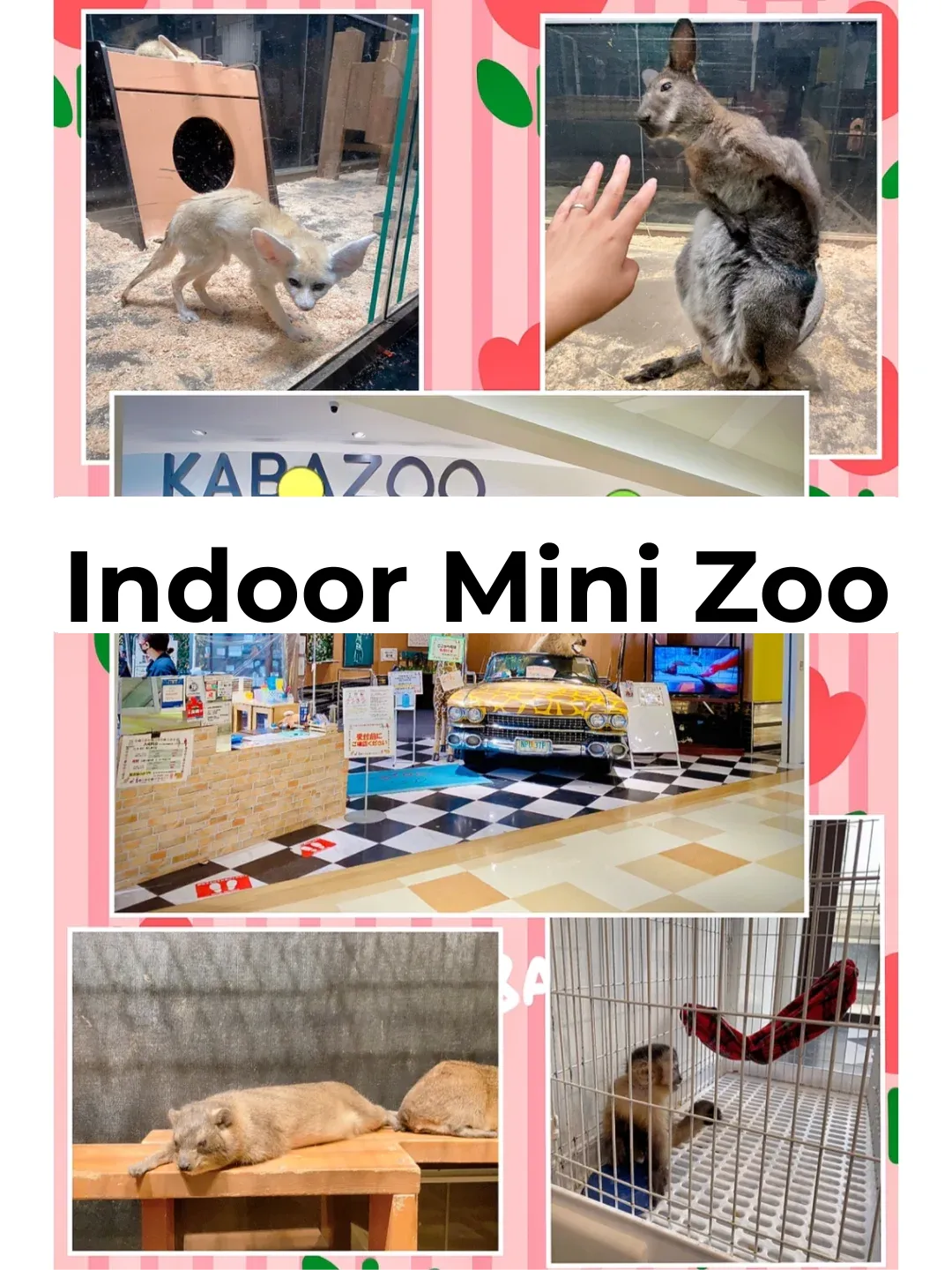 Tokyo's Cozy Indoor Petting Zoo