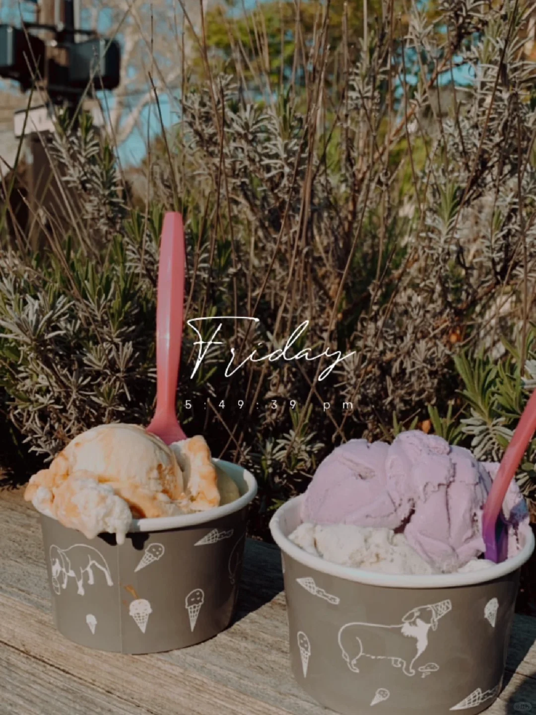 "The Best Ice Cream in Cleveland!"