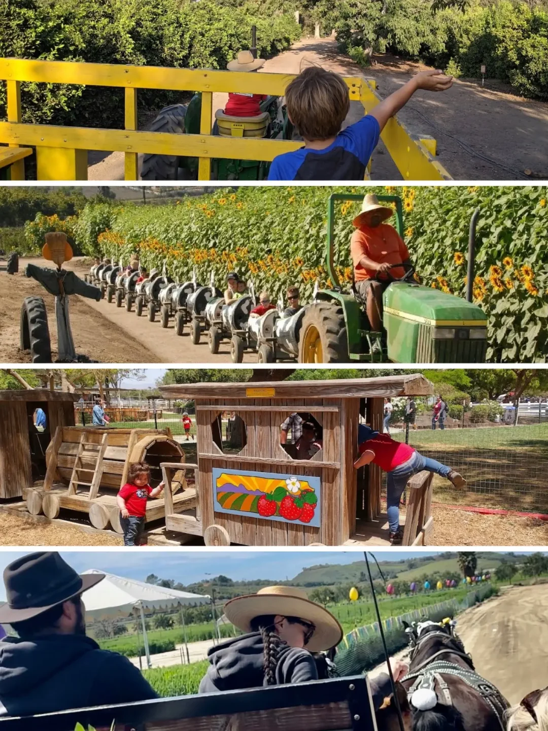 Spring Break Getaway: 3 Farms for Animal Feeding & Fruit Picking Fun!