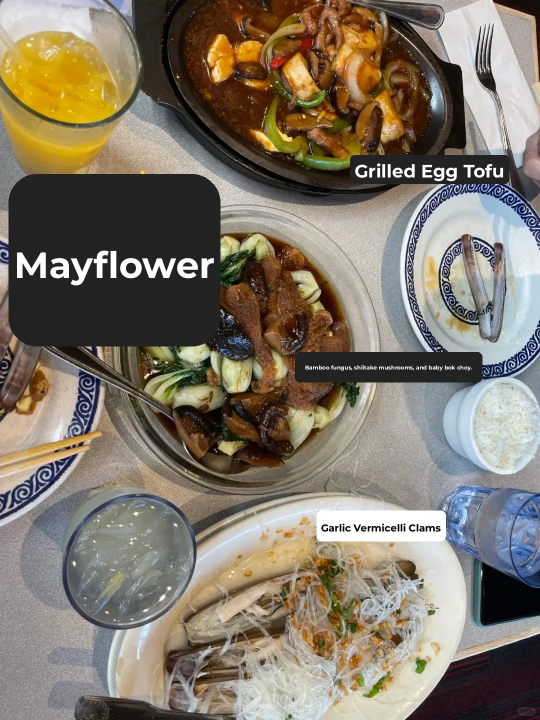 Boston | The Mayflower in Cambridge