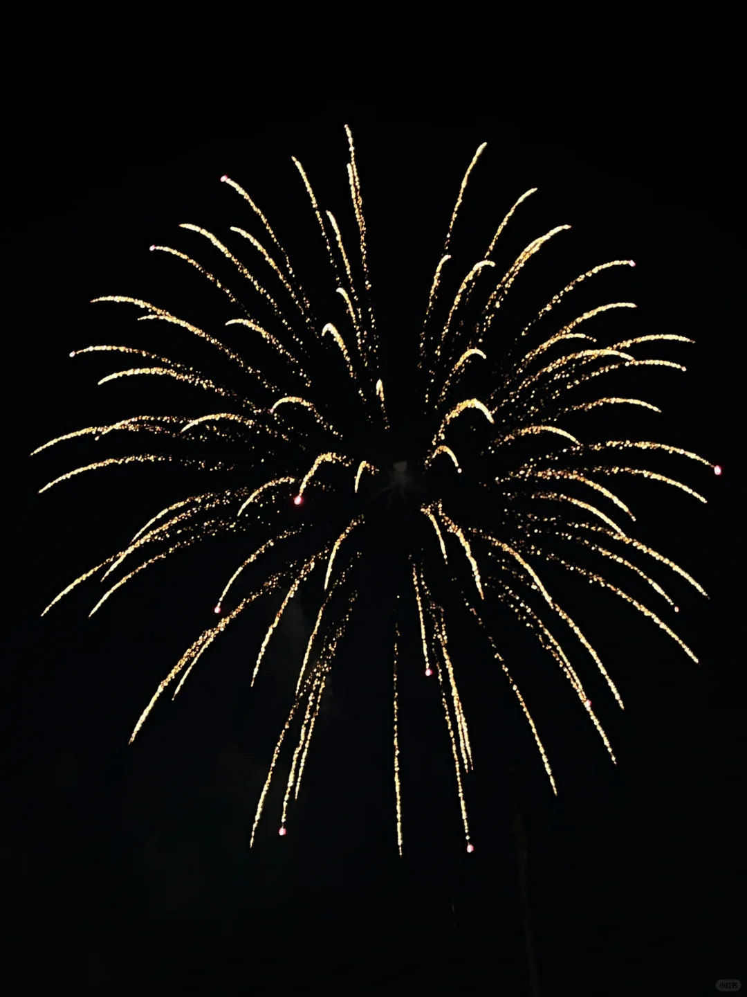 100 Ann Arbor Date Ideas 💘 #004: Fireworks Viewing