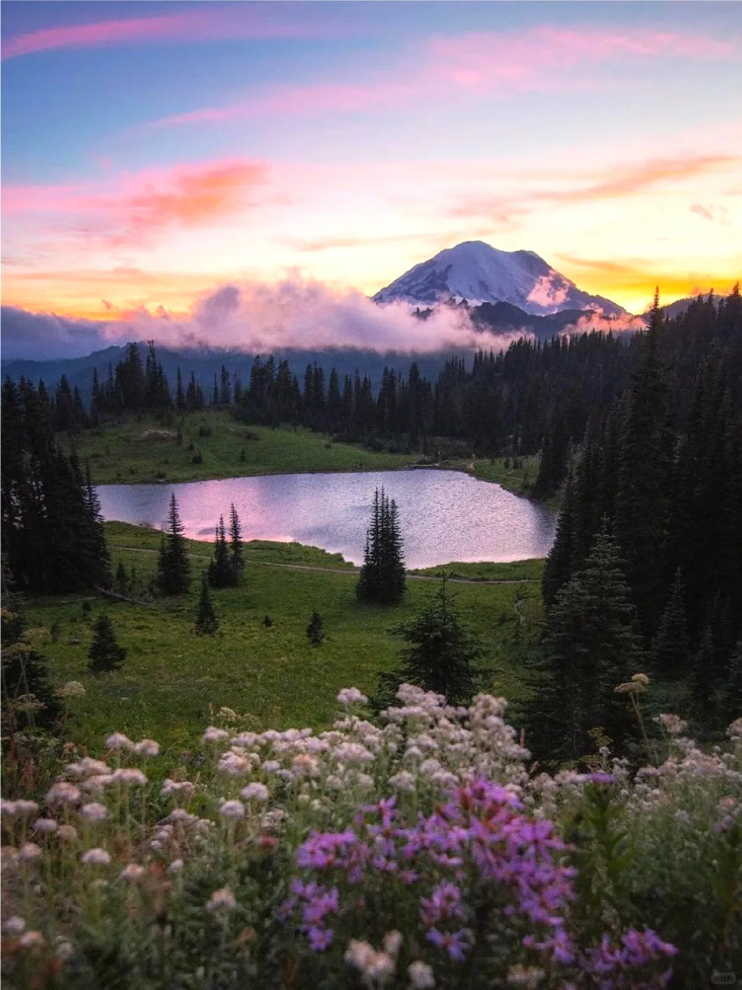 Seattle | This is what Mount Rainier looks like next 🗻