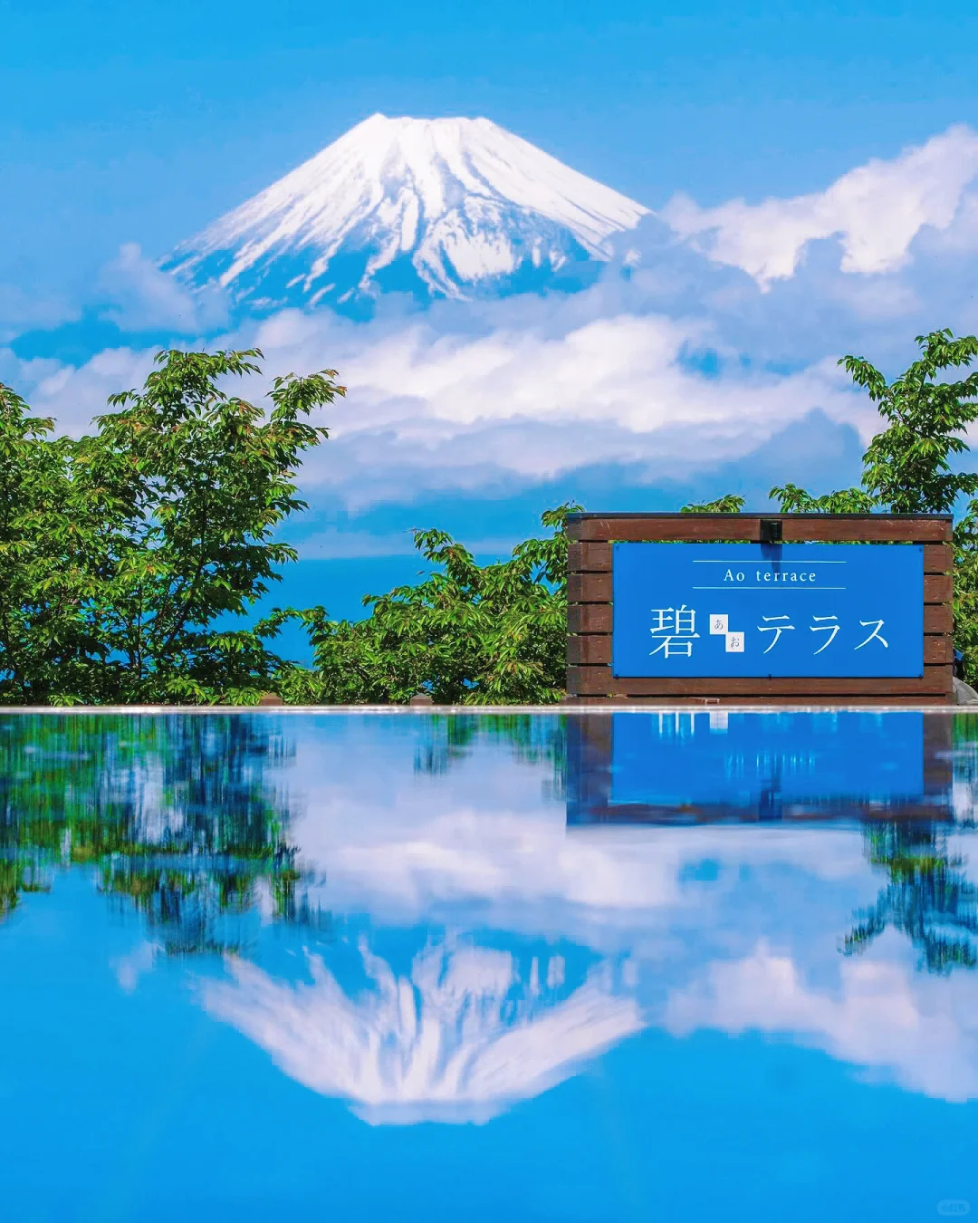 Izu! The Seriously Underrated Day Trip Destination Near Tokyo