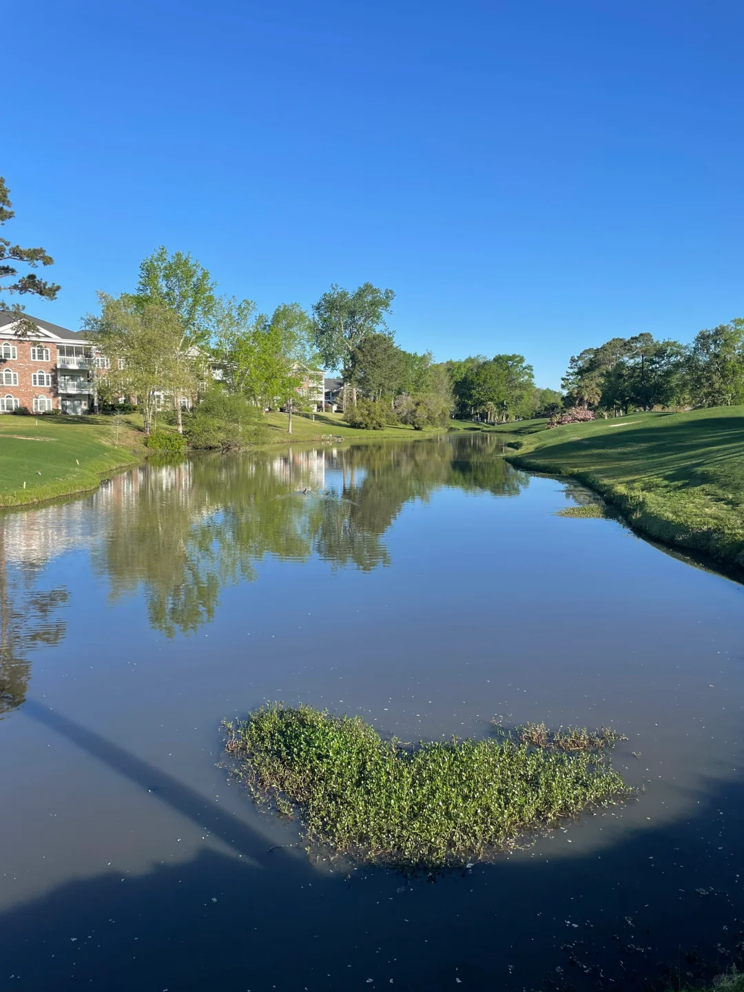 The Allure of Myrtle Beach, South Carolina