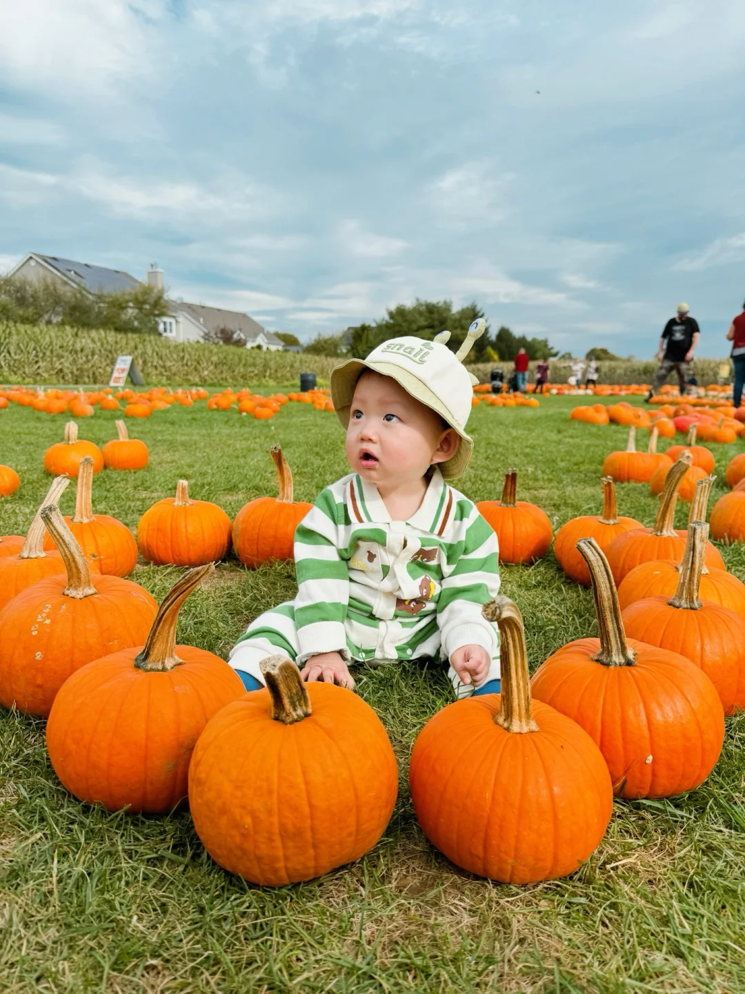 Traveling with Baby: The Viral Pumpkin Farm in NYC