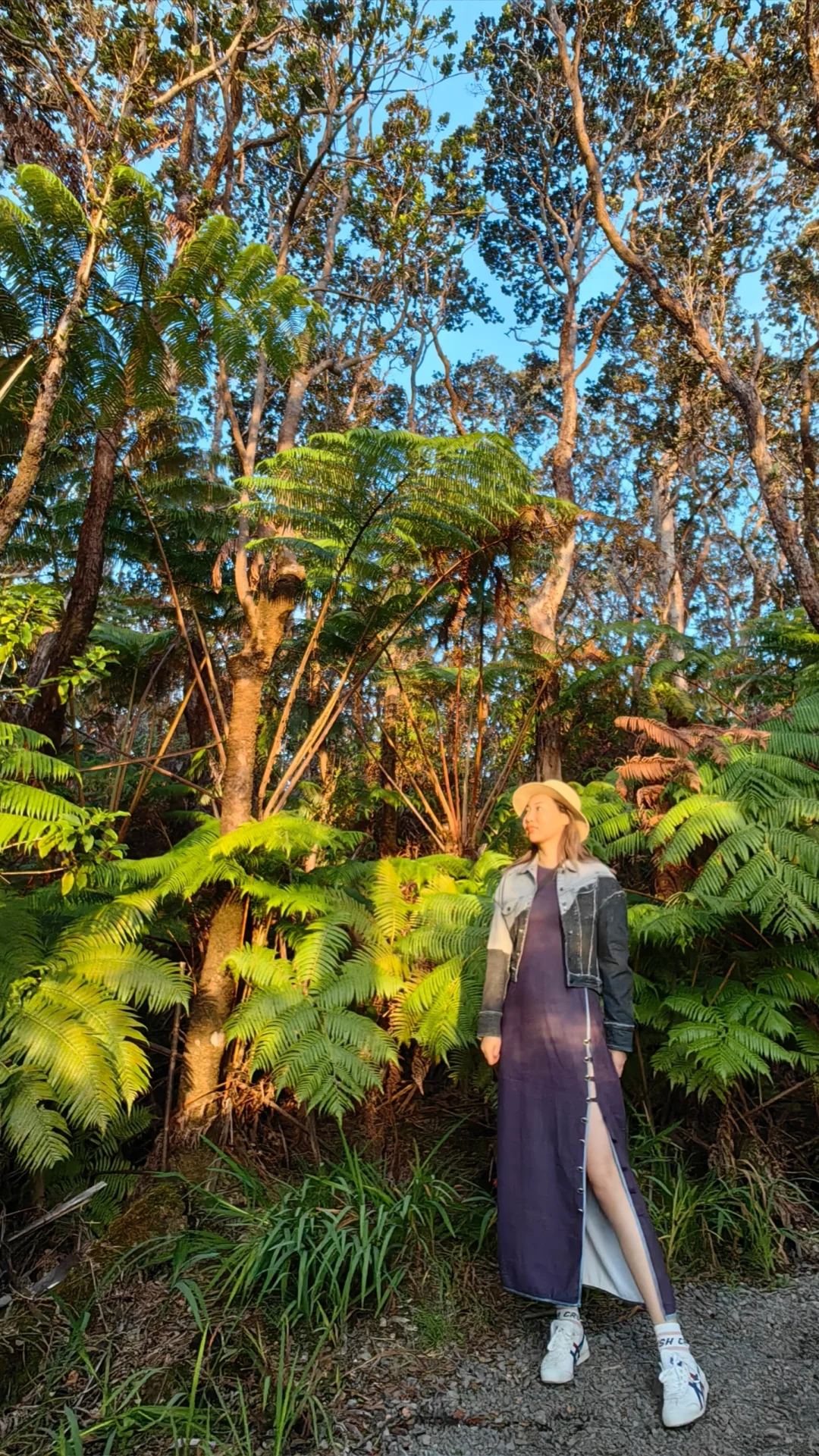 "Comprehensive Guide to the Big Island of Hawaii"