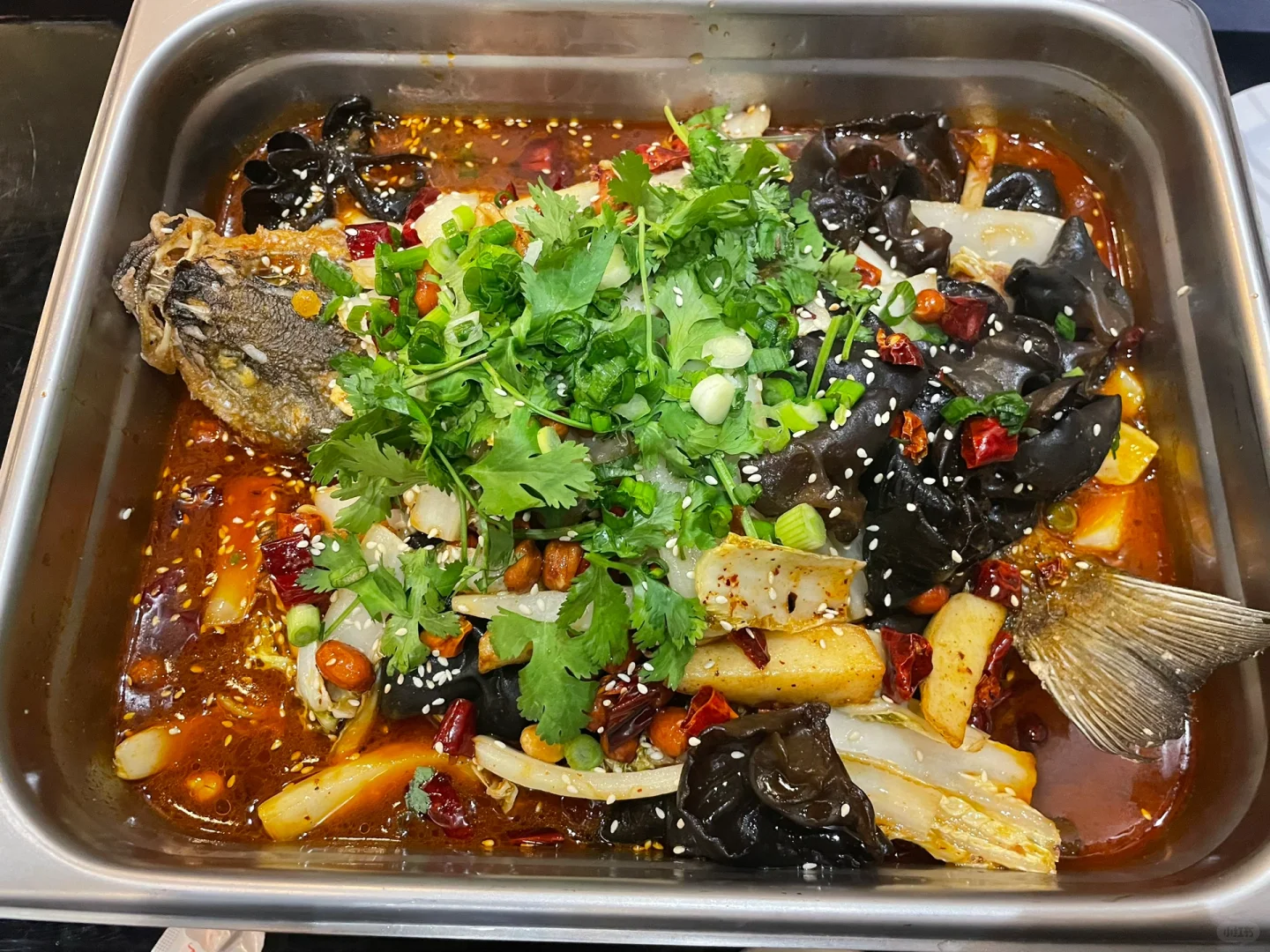 🇺🇸 Charlotte, NC Food Adventure—Sizzle