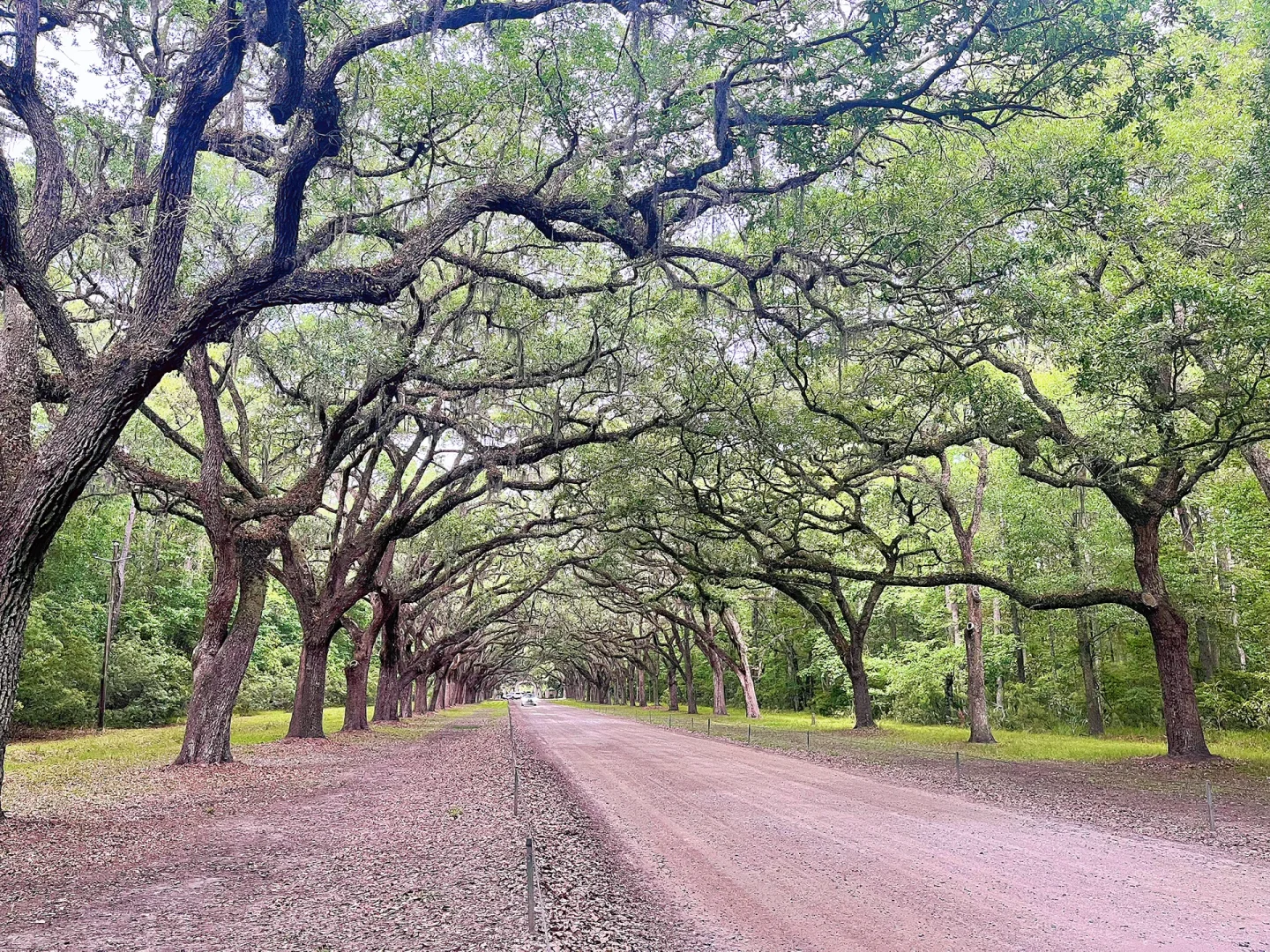 "Two Days and One Night in Savannah: Must-Visit Spots for Food, Fun, and Adventure"