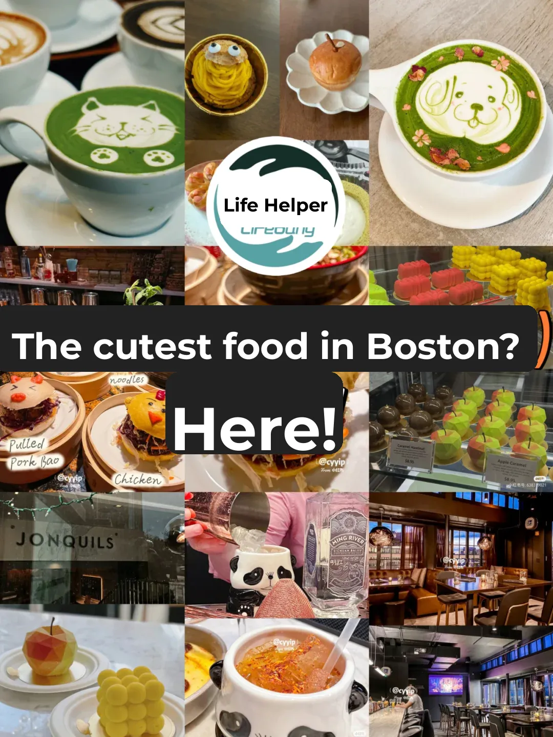 The cutest food in Boston? Right here!