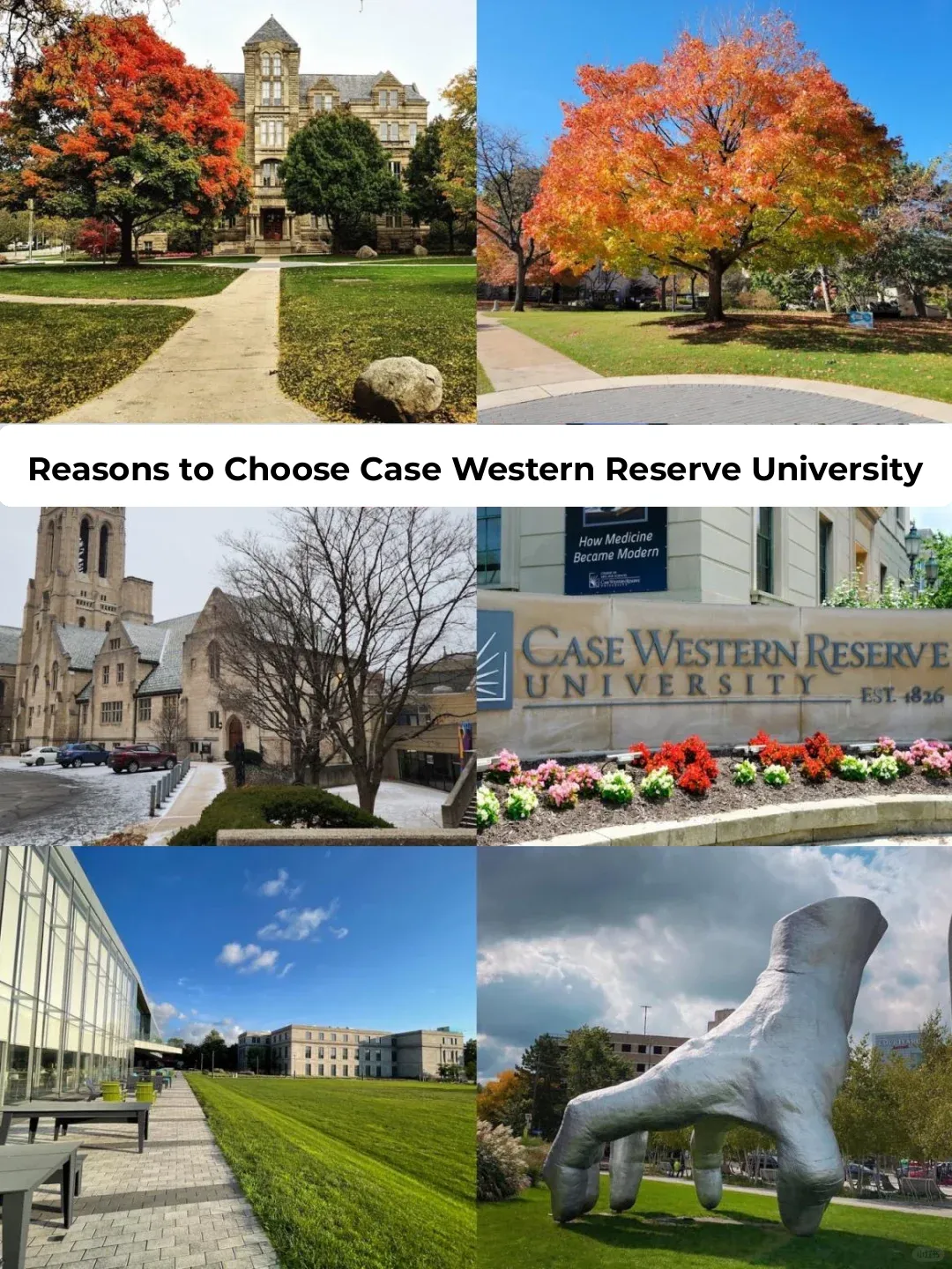 "Is Case Western Reserve University a Hidden Gem? 15 Reasons to Choose CWRU"