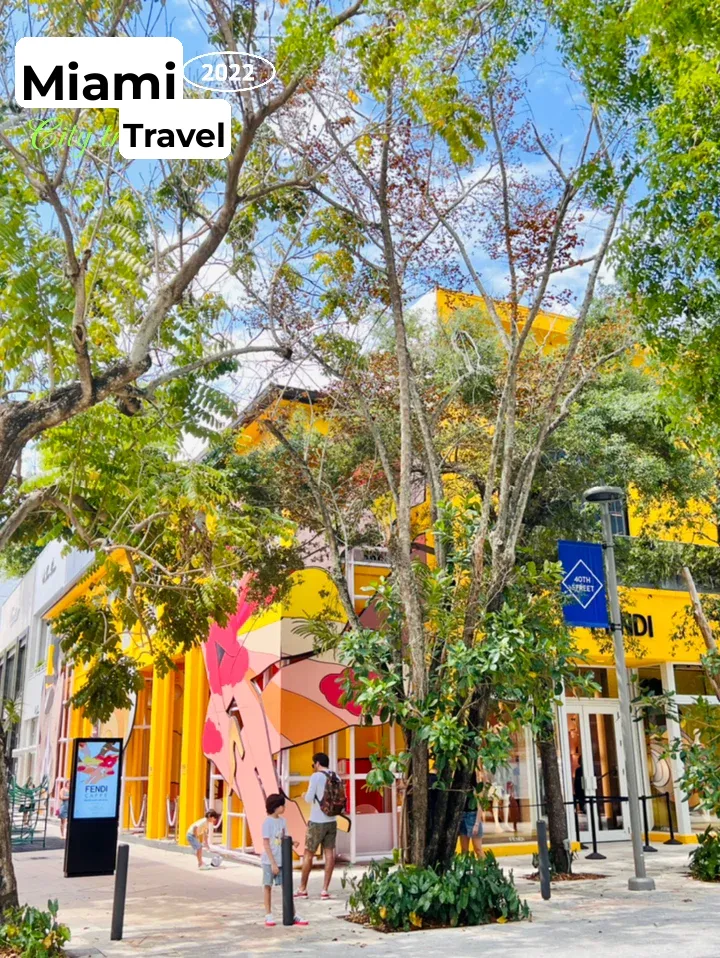 【Travel Guide】Miu Miu Yoga Class ‼️ Miami Design District