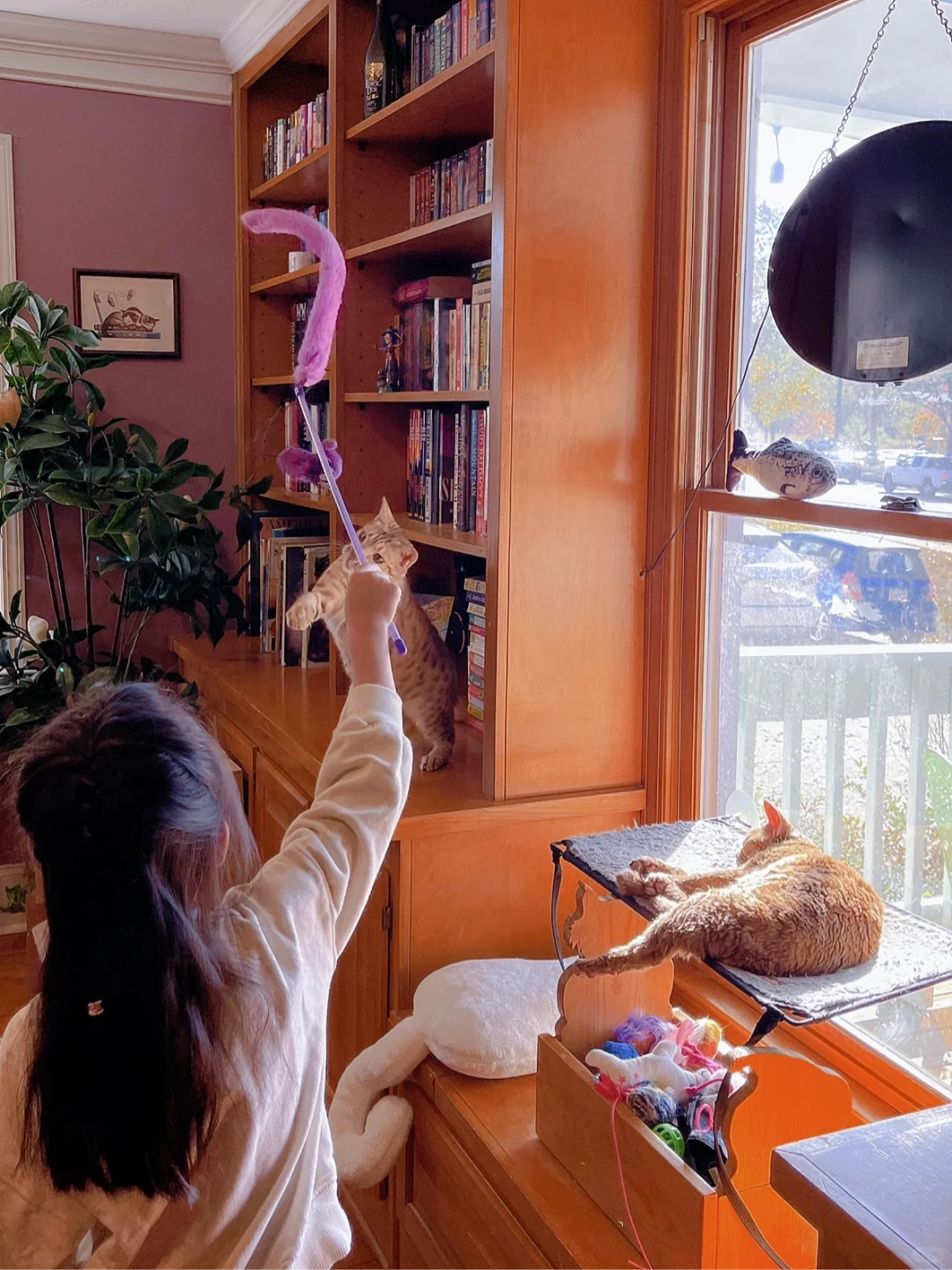 Atlanta | A Cat Café Where You Can Pet the Cats