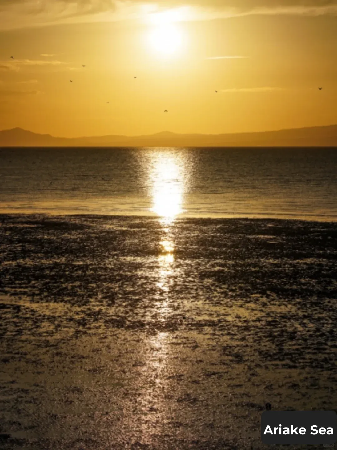 Japan Travel: Ditch the Clichés, Embrace a Camping Getaway