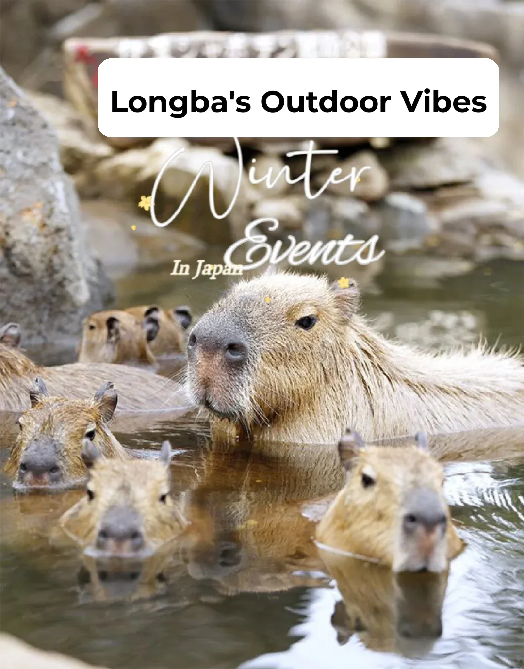 Guide to Winter Activities in Japan Series - Entertainment Edition