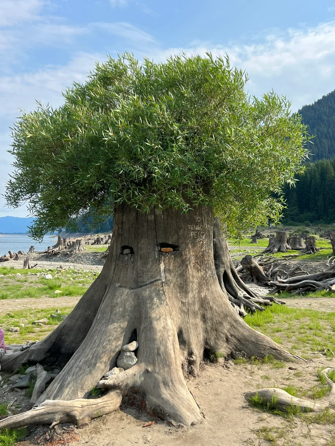 Seattle | Can You Hit 3 Spots in an Afternoon?