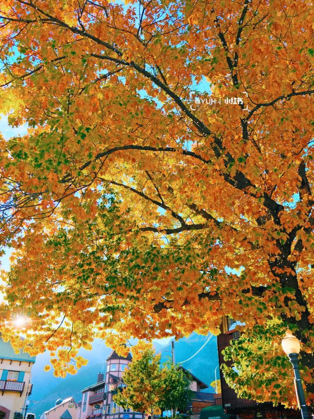 Seattle Autumn Adventure | German Village + Pumpkin Patch | Halloween Vibes