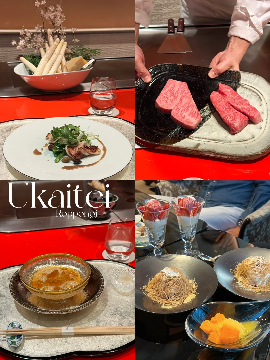 Taylor Swift's Tokyo Teppanyaki Spot! Ukaitei Roppongi 🇯🇵