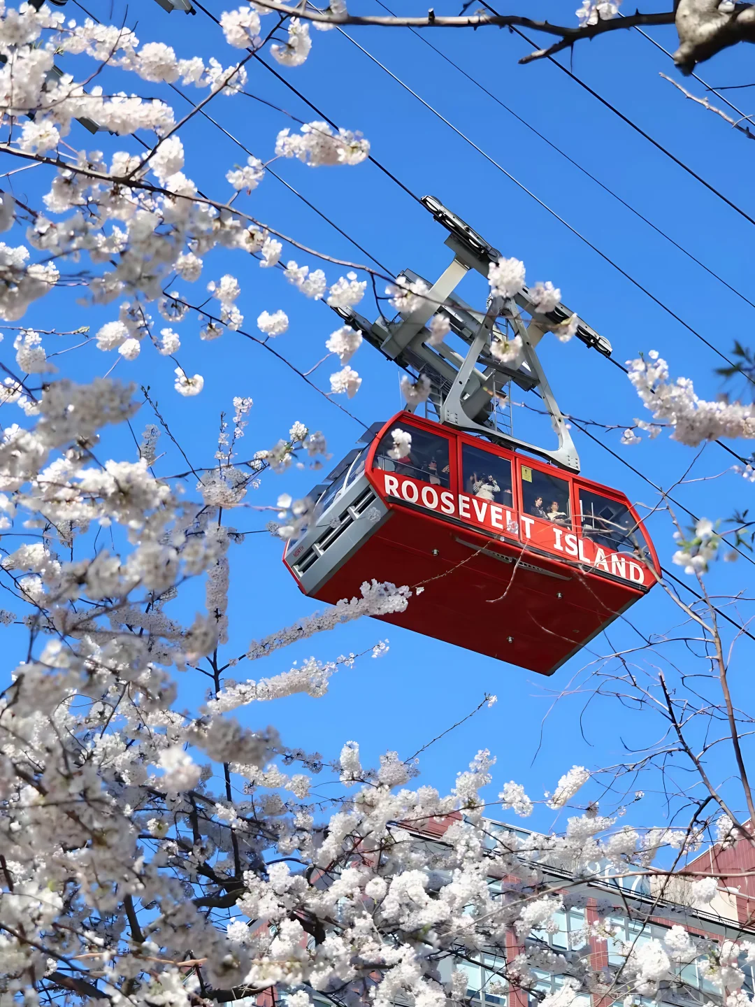 🌟2025 New York City Skyline Viewing Guide | 4 Free Vantage Points