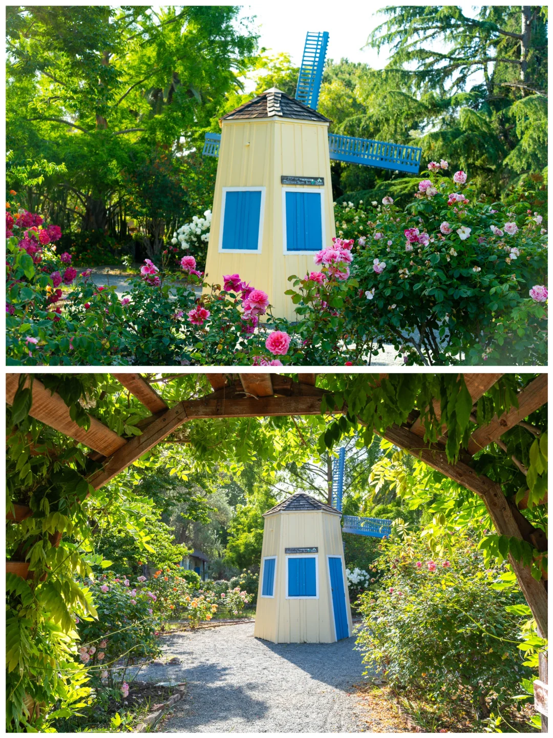 Hidden Gem & Photo-Op Paradise | California Nursery Historical