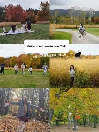 NYC Family Guide: Leaf Peeping with Kids 🍁