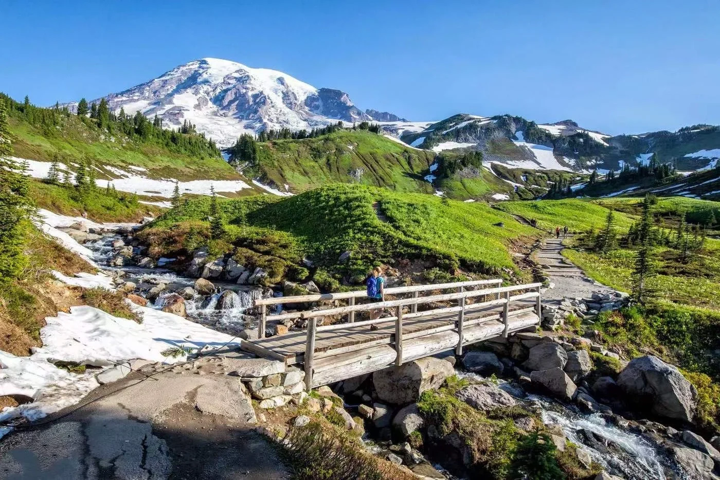 Seriously Underrated National Park! Mount Rainier in the USA