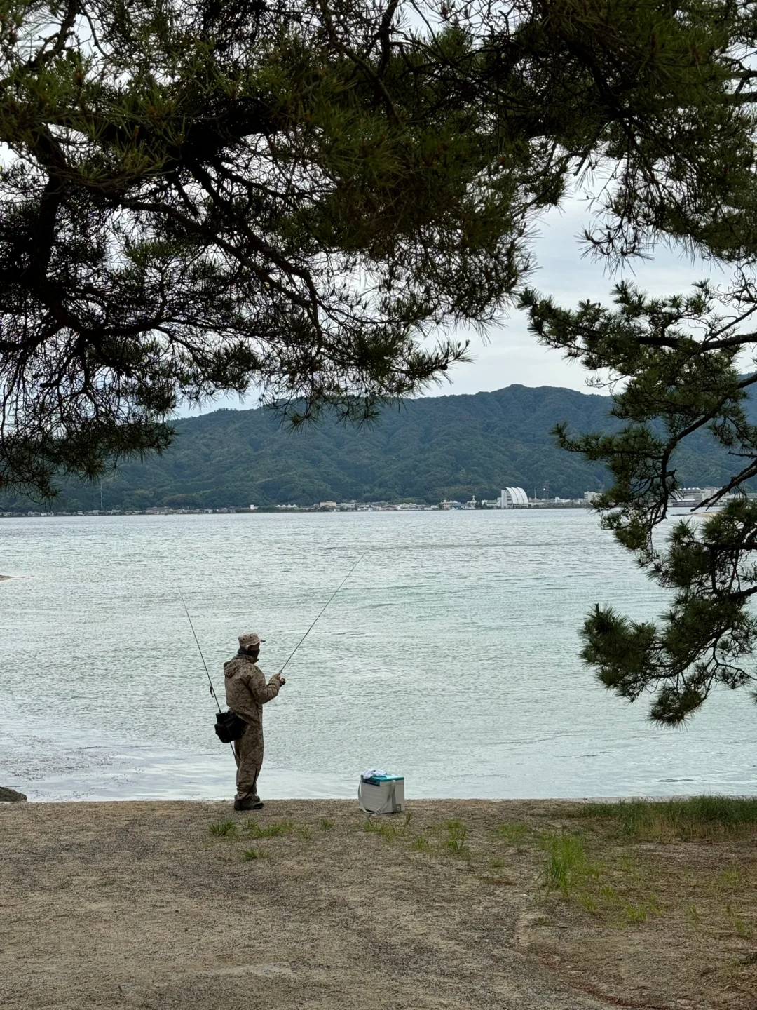 Comprehensive Guide to Kyoto's Amanohashidate Area: Navigate Freely on Your Solo Trip