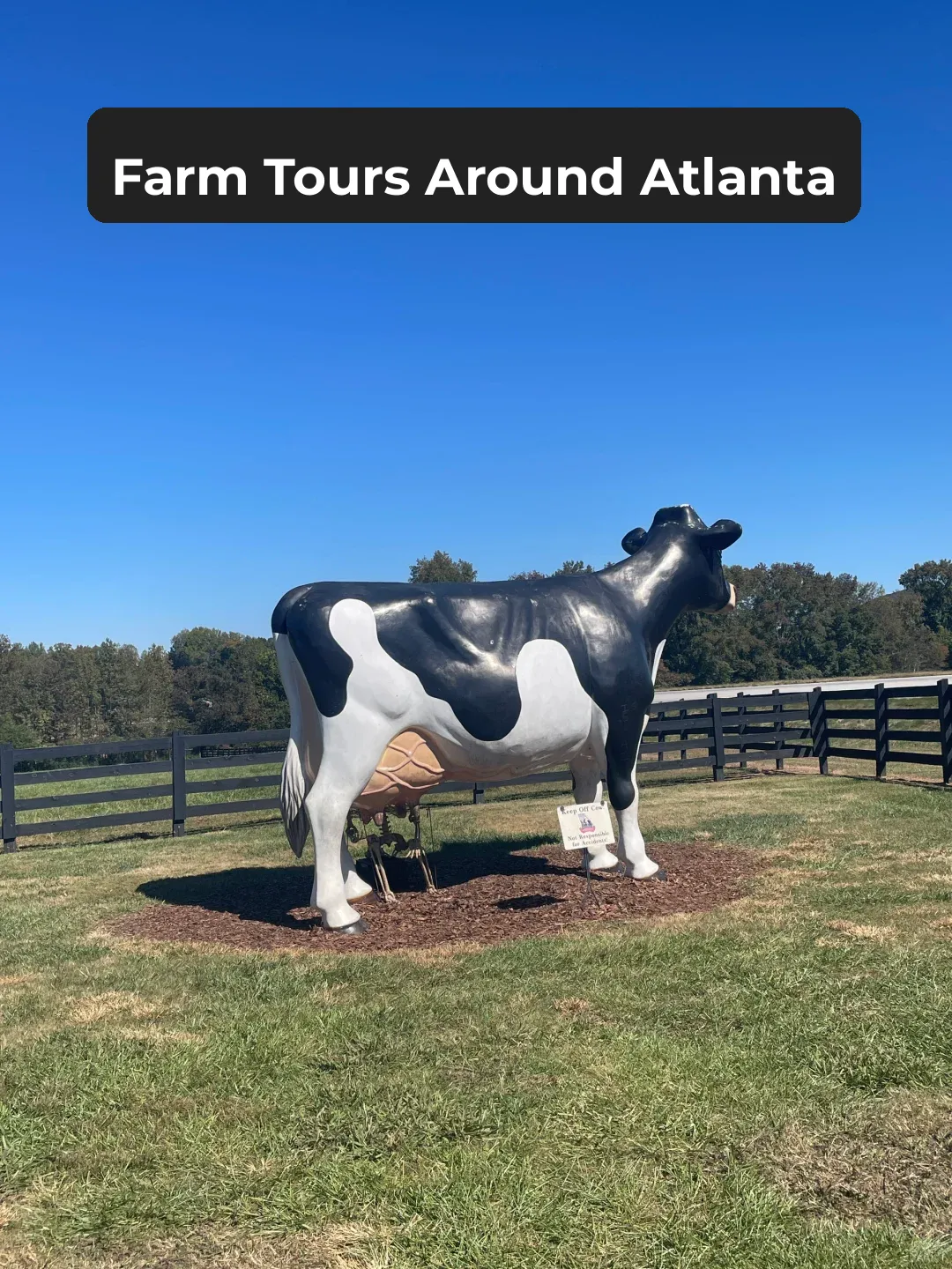 Day Trip to Farms Around Atlanta