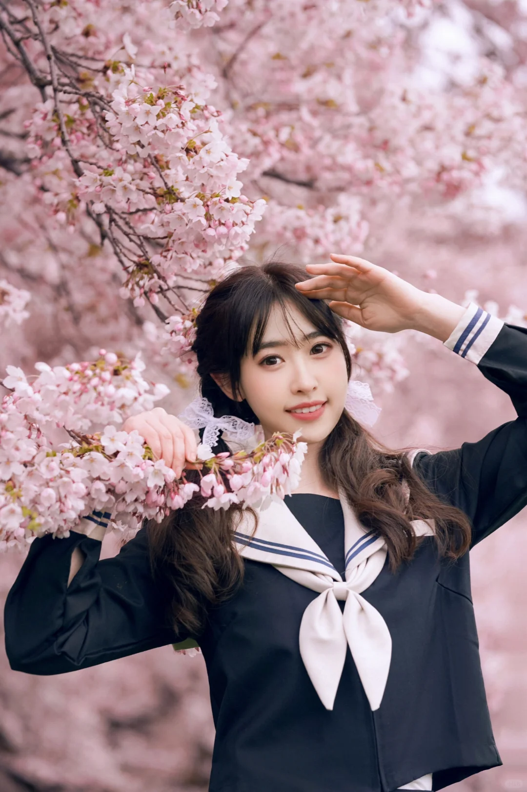 Seattle | 2024 Ultimate Sakura Photo Guide: Can't Wait!